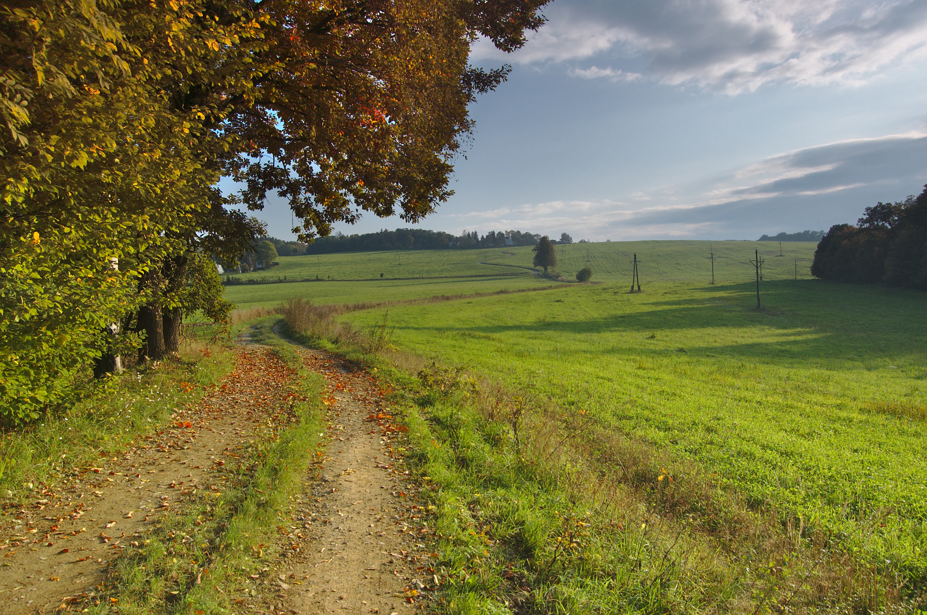 A dirt path leads through green meadows toward a forested horizon under a soft sky, with colorful autumn trees in the foreground.