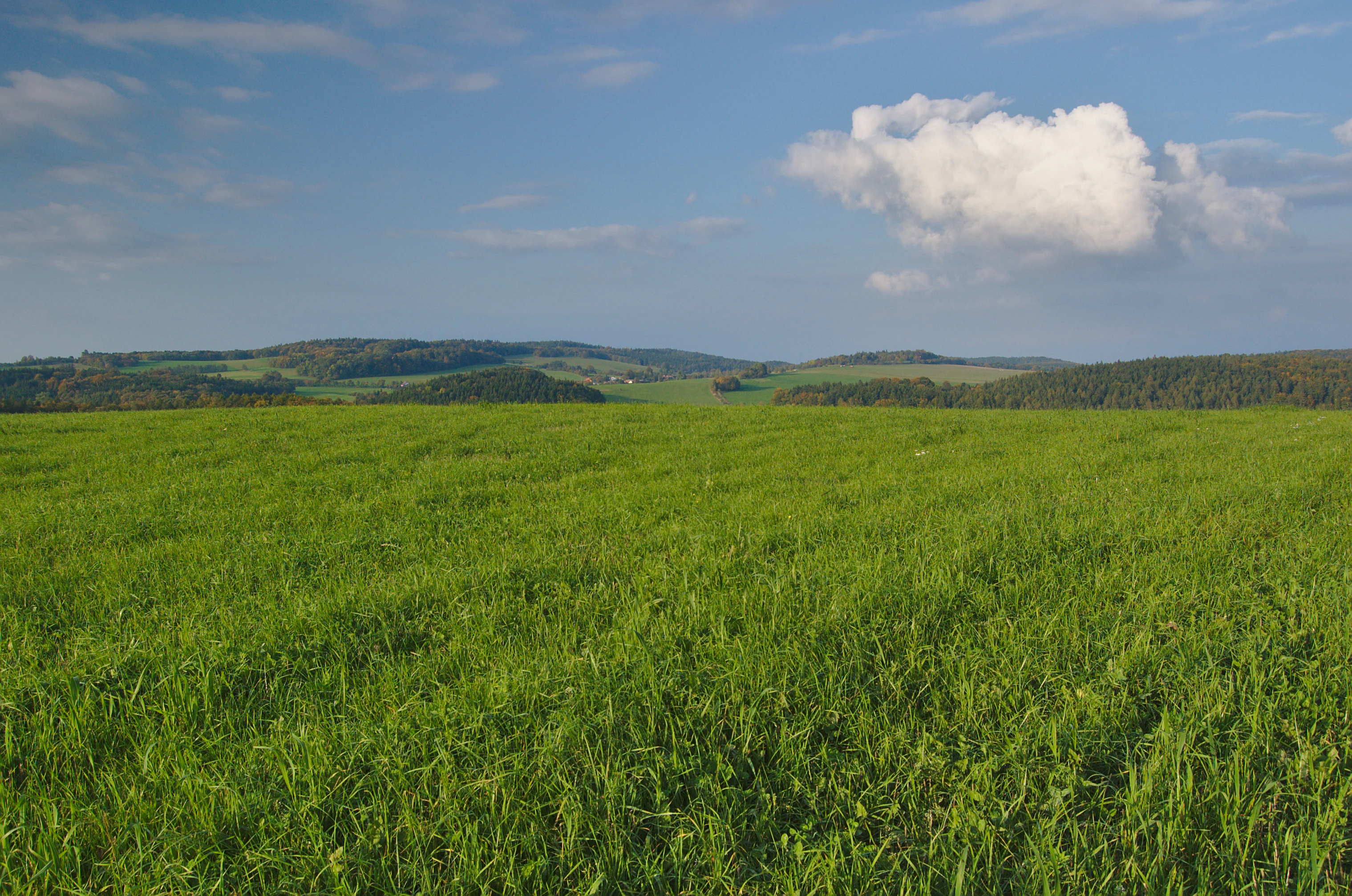 A wide, eye level landscape view featuring a vibrant green field in the foreground, leading to rolling, forested hills in the midground and distance under a blue sky with scattered clouds.
