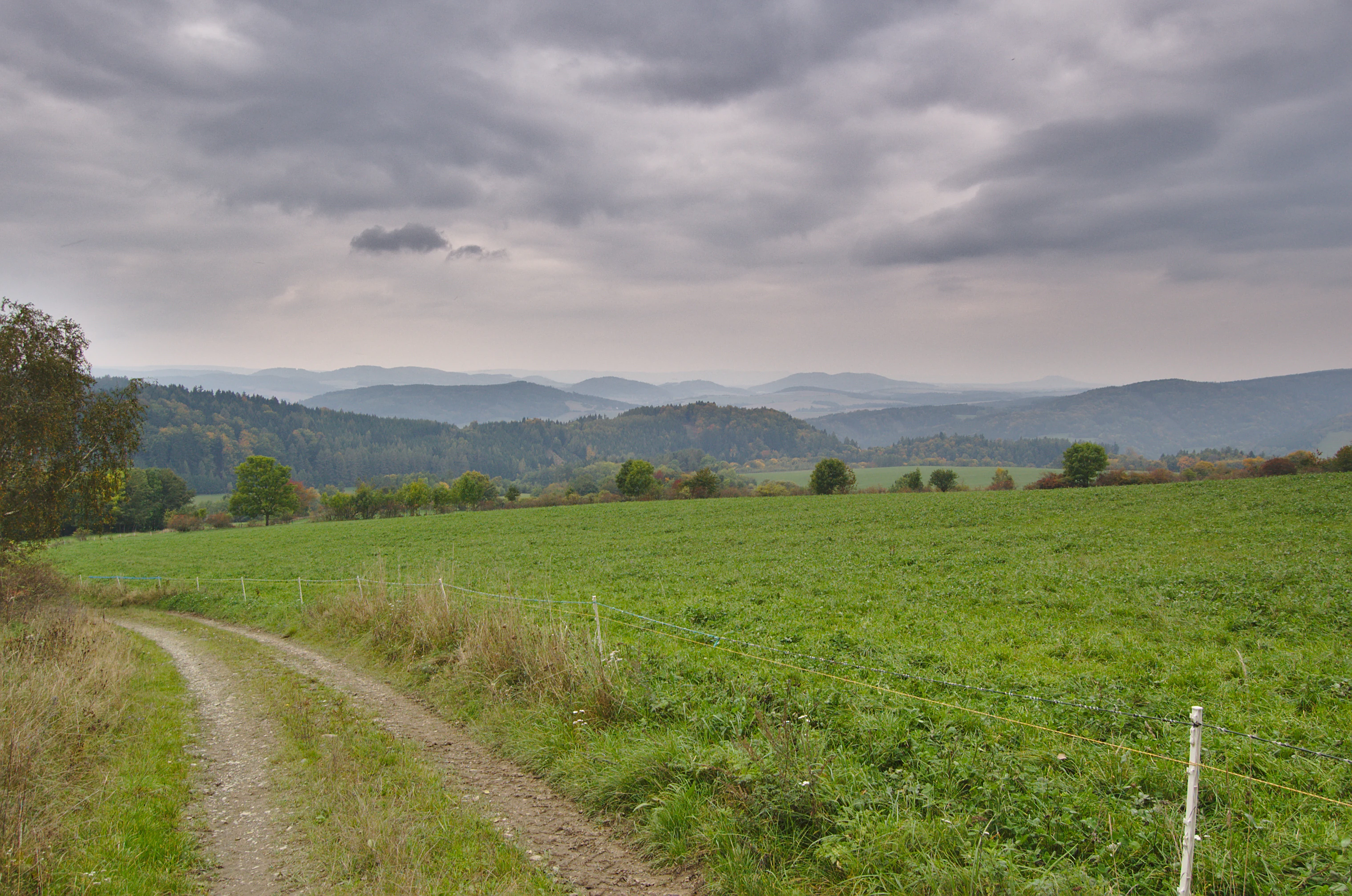 A dirt path winding through green fields toward forested hills under a cloudy, overcast sky.