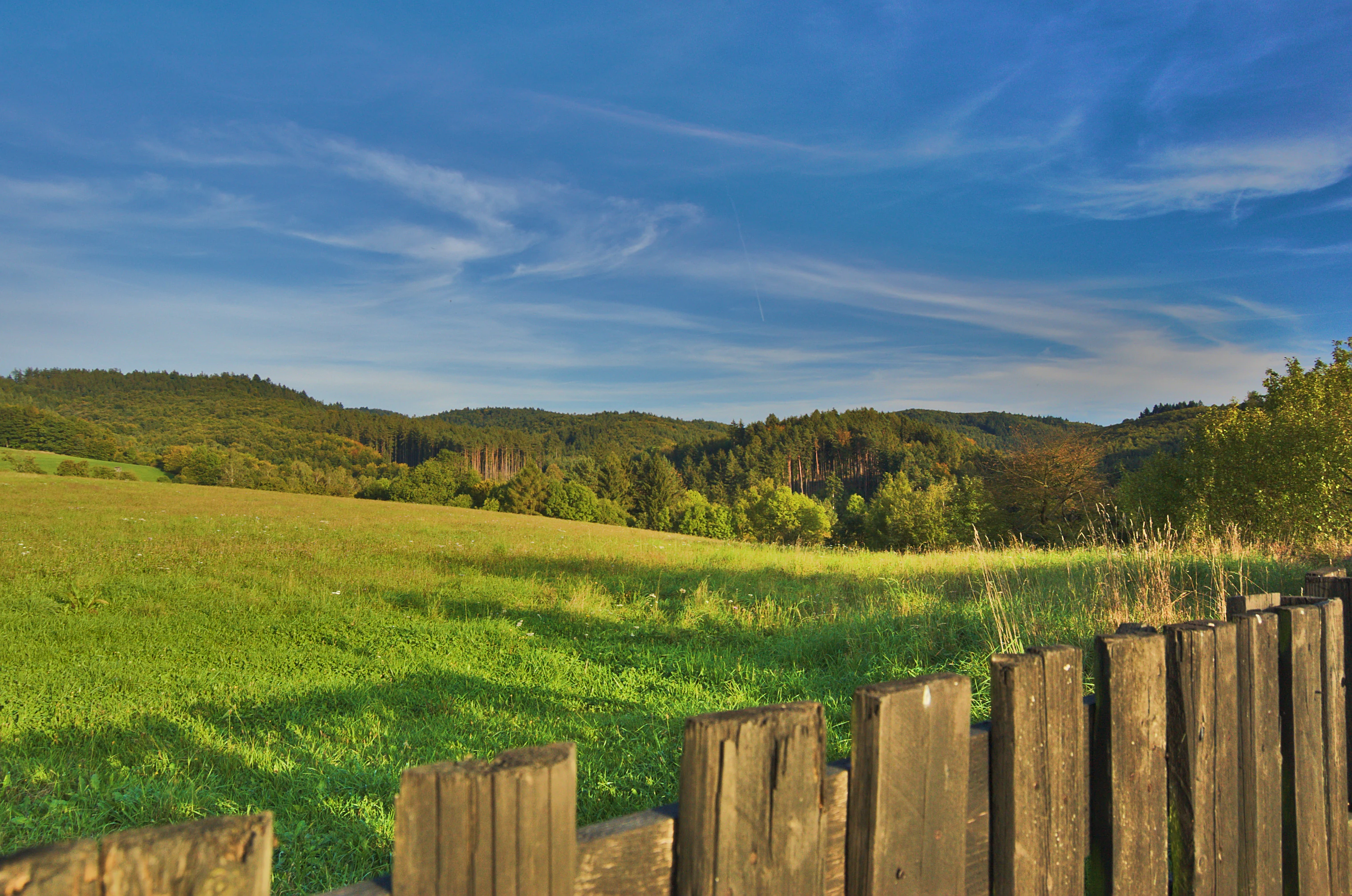 A green pasture in the foreground leads to rolling hills covered in dense forest under a bright blue sky with wispy clouds, viewed behind a weathered wooden fence.