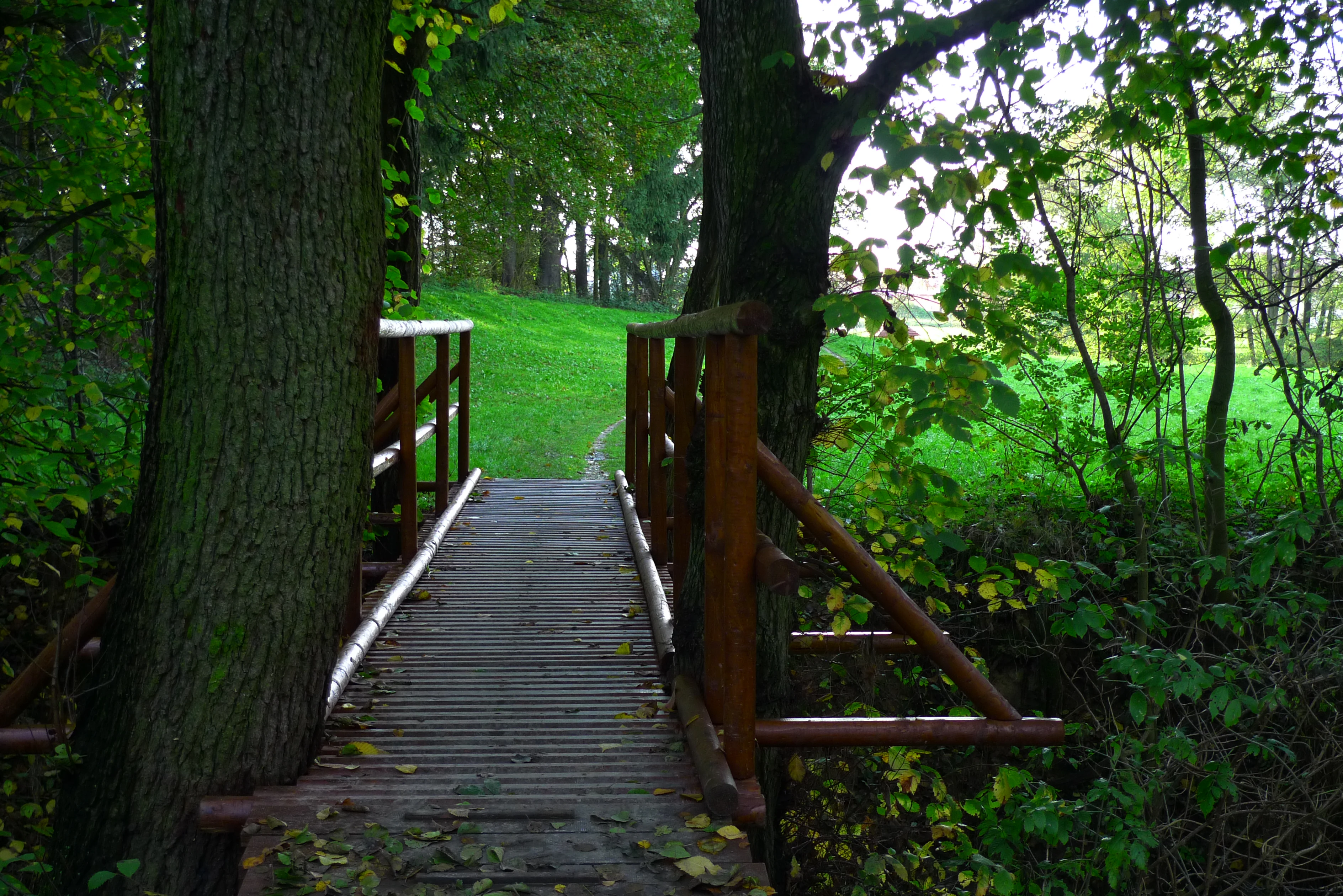 Footbridge over the Botic stream
