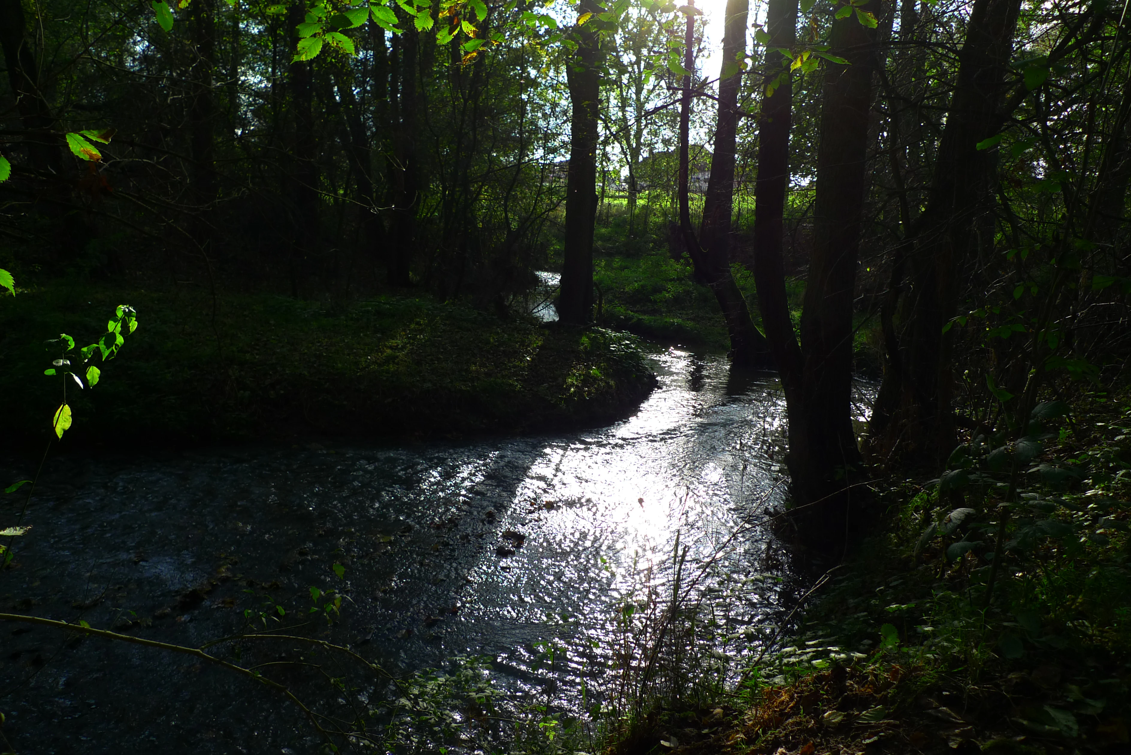 Pitkovicky Stream