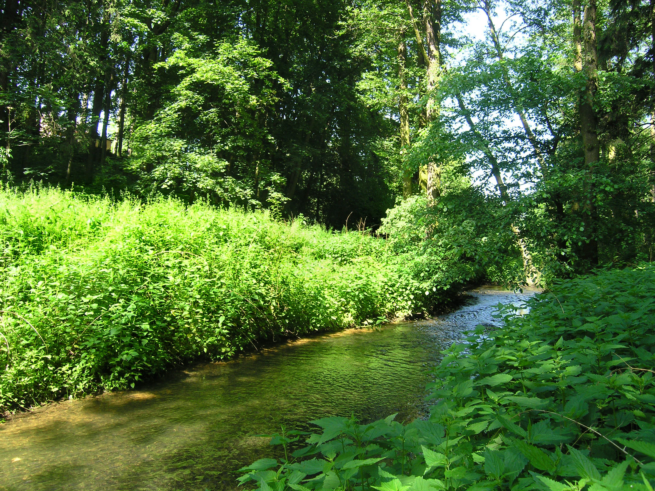 Botic stream in Kreslice