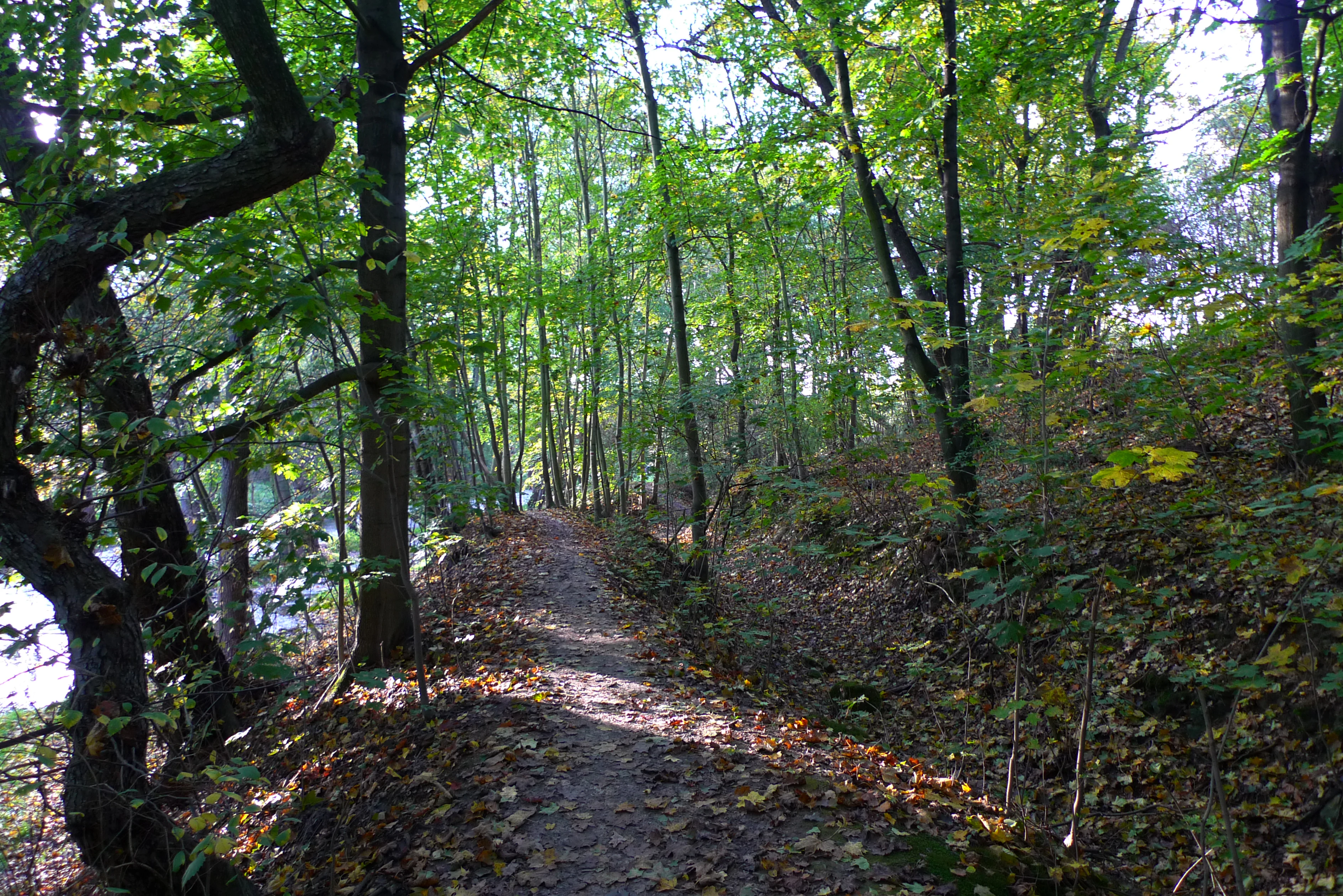 Mill race