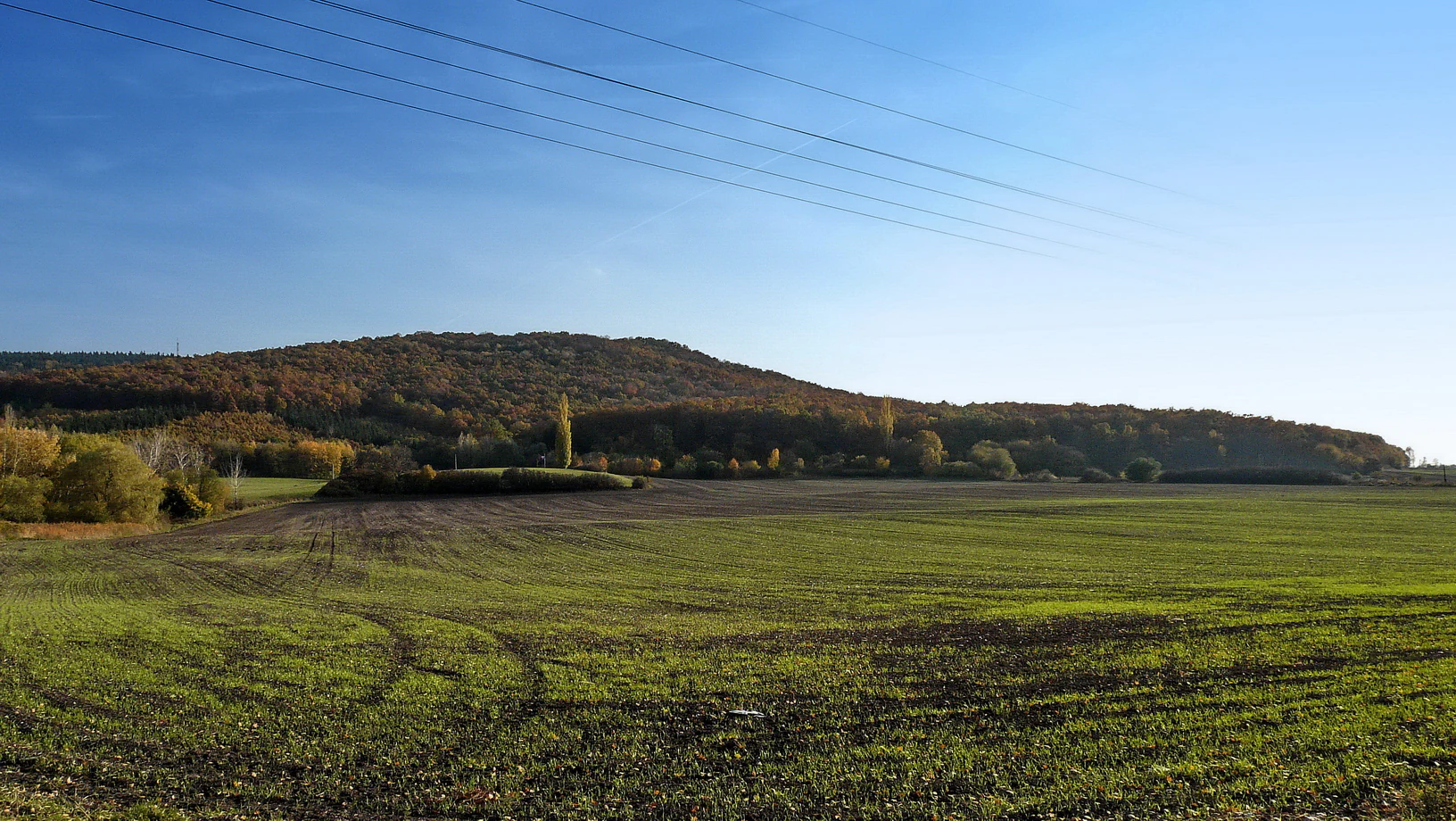 A wide landscape view of an agricultural field in the foreground with a forested hill, the Chloumecký ridge, visible in the background under a clear blue sky.