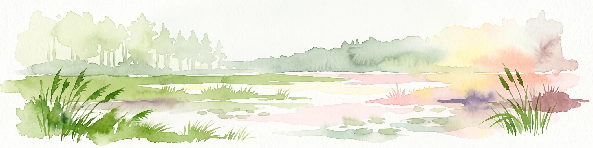 A watercolor painting showing a panoramic view of a wetland area with reeds in the foreground and a forested ridge in the background.