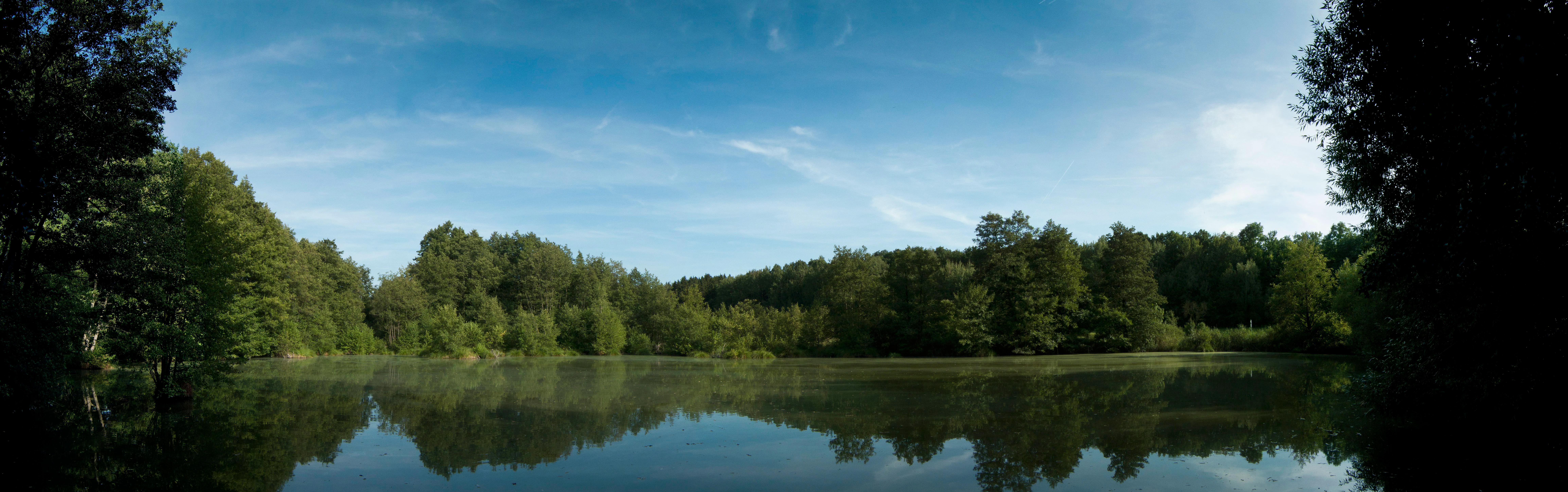 A panoramic view of a calm water reservoir surrounded by dense forest under a clear blue sky, with reflections of trees on the water surface.
