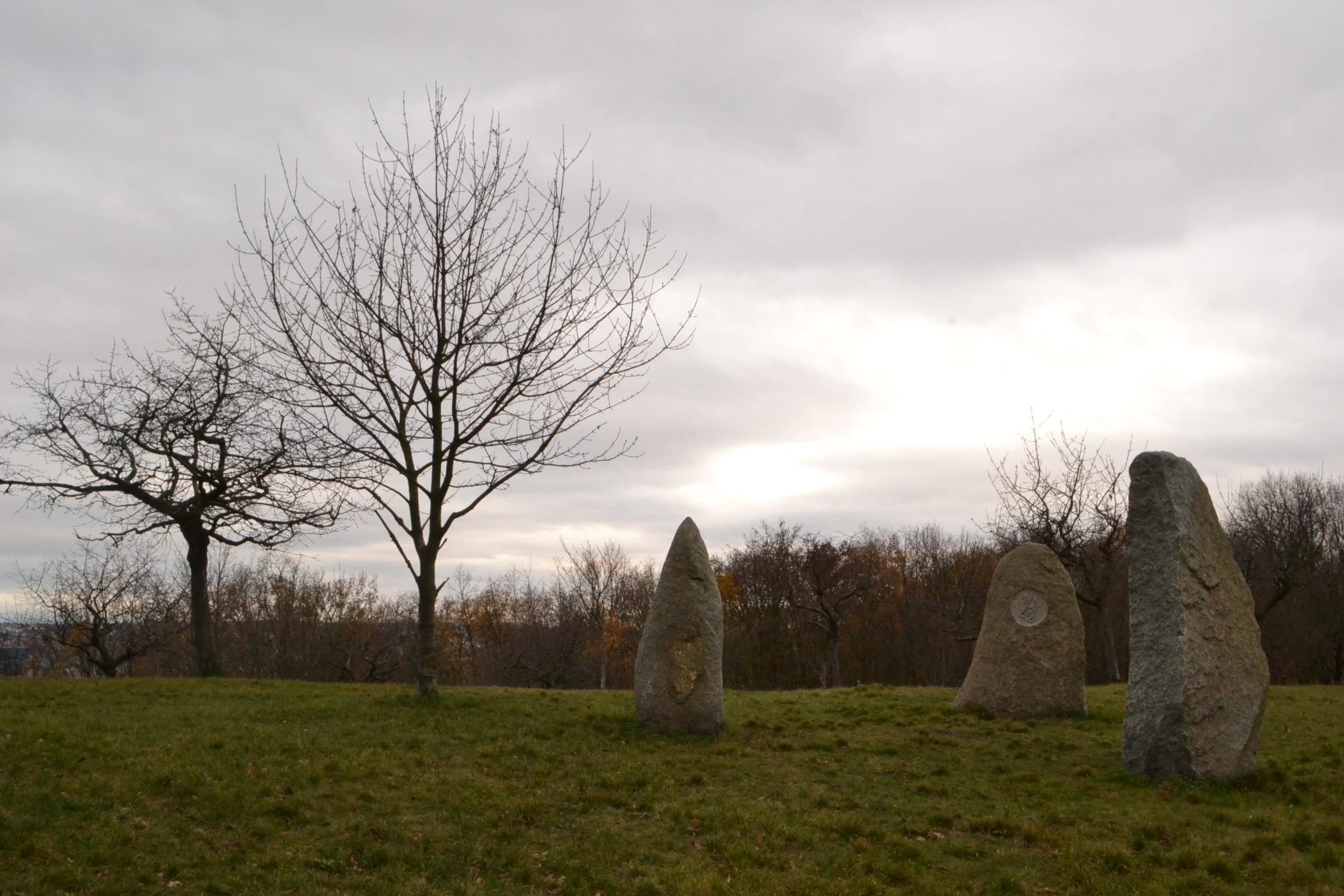 A landscape view of a grassy hill in autumn with bare trees and three large, upright, weathered stone monuments.