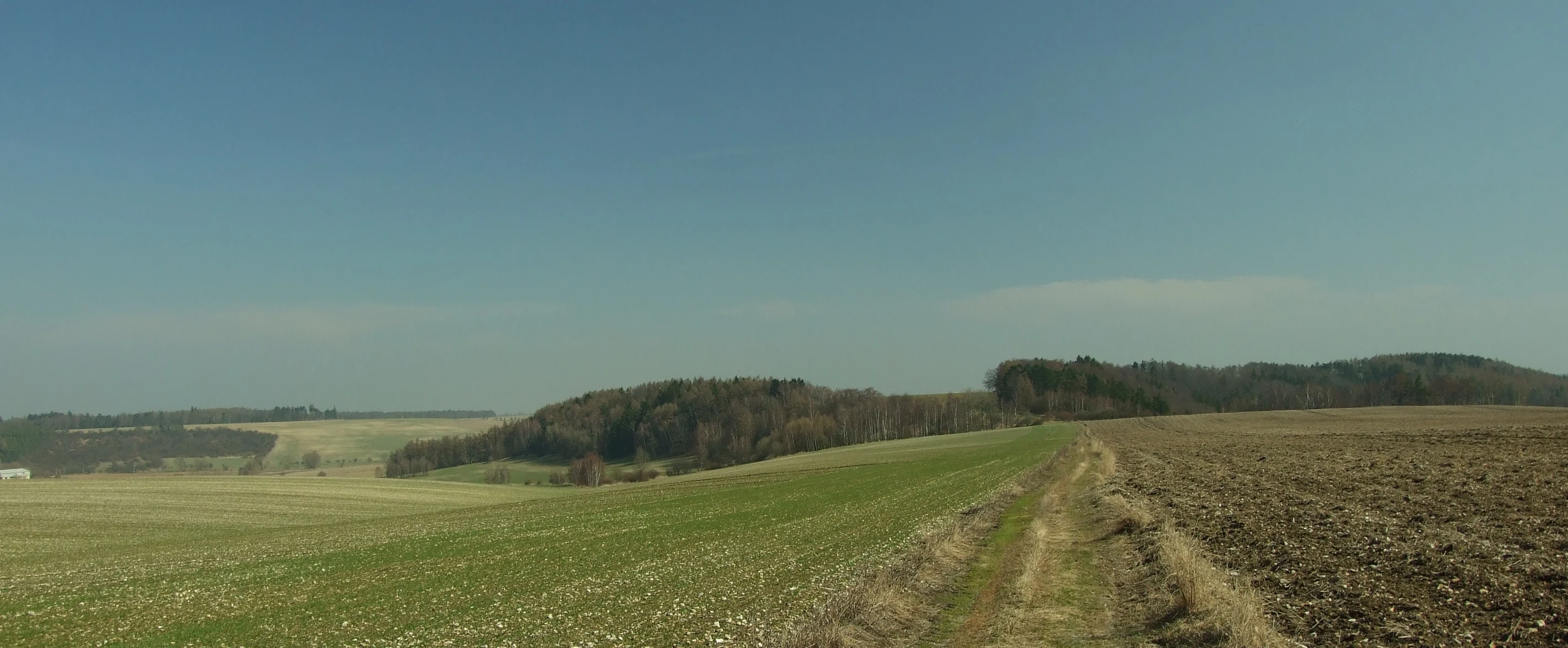 Wide shot of a rural landscape with agricultural fields in the foreground, separated by a dirt track, with rolling hills and forested patches under a clear sky in the background.