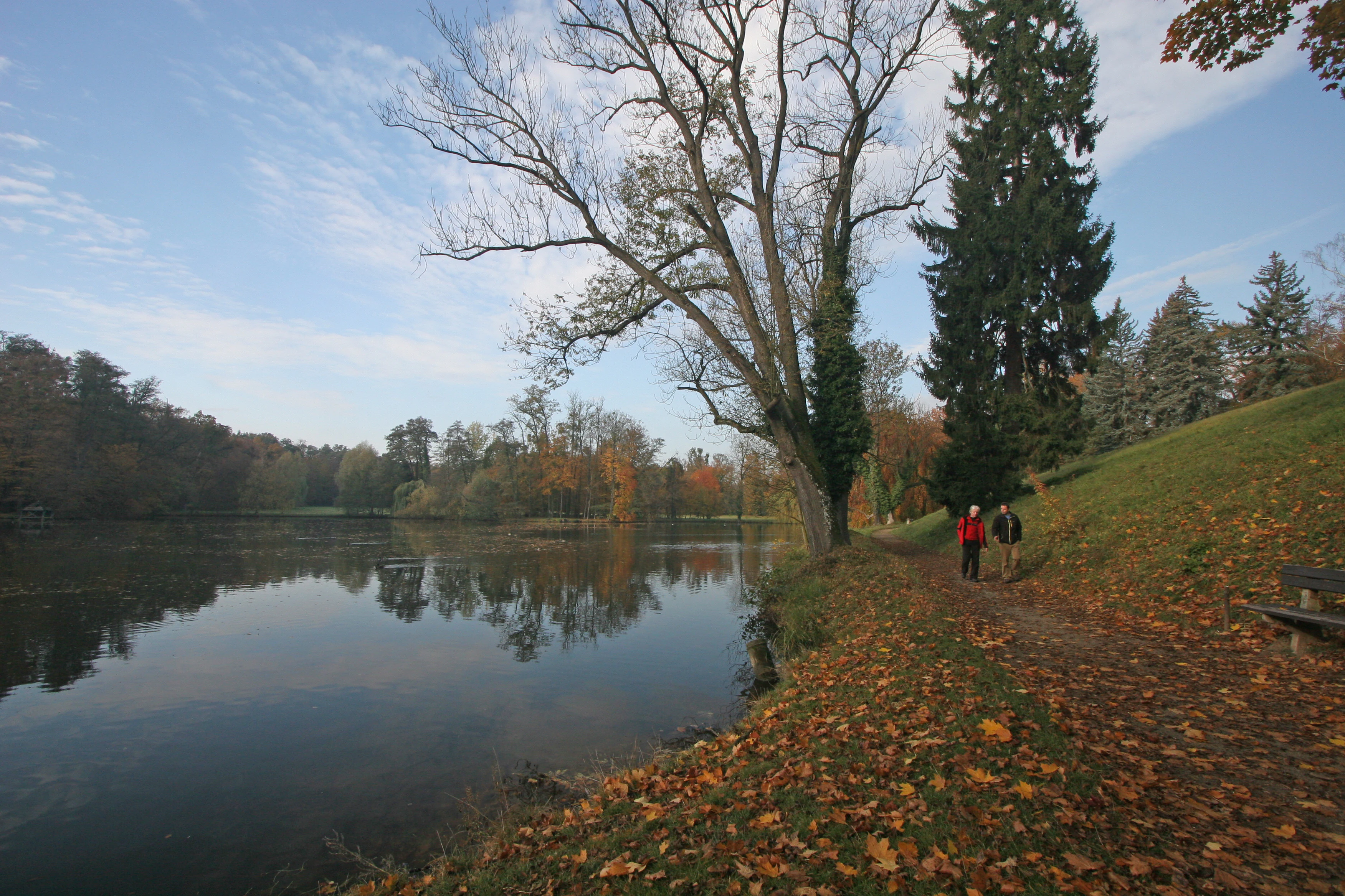 A calm, reflective pond in a park during autumn, with colorful fallen leaves covering the ground along the path where two people are walking.