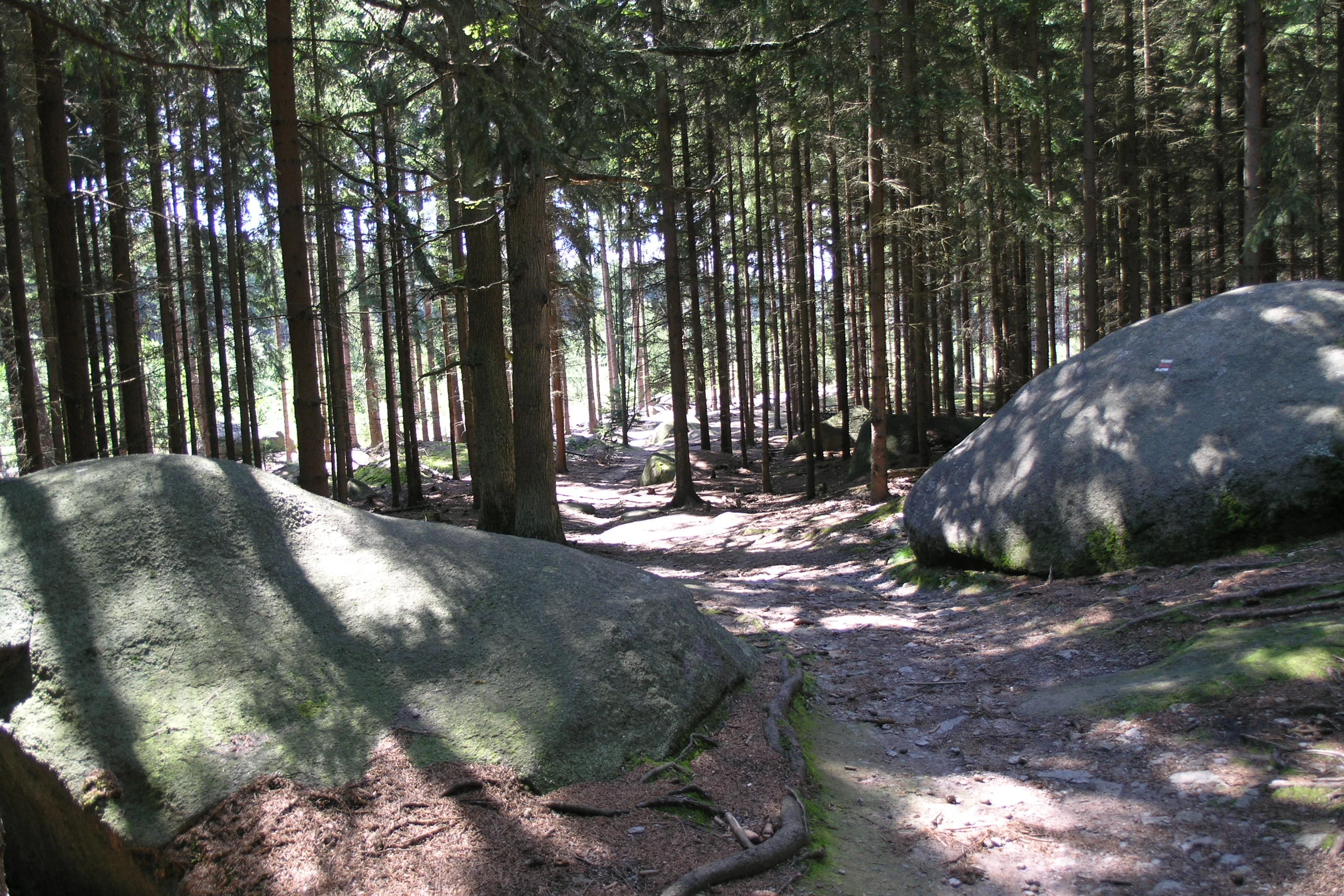 A forest trail winding through a dense coniferous forest, flanked by two large, mossy grey granite boulders in the foreground.
