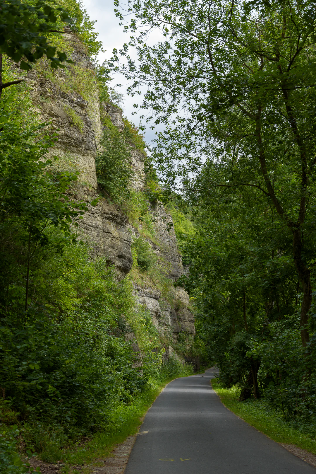 A paved path winds through a green forest with a tall layered rock cliff rising on the left side and dense trees on the right under an overcast sky.