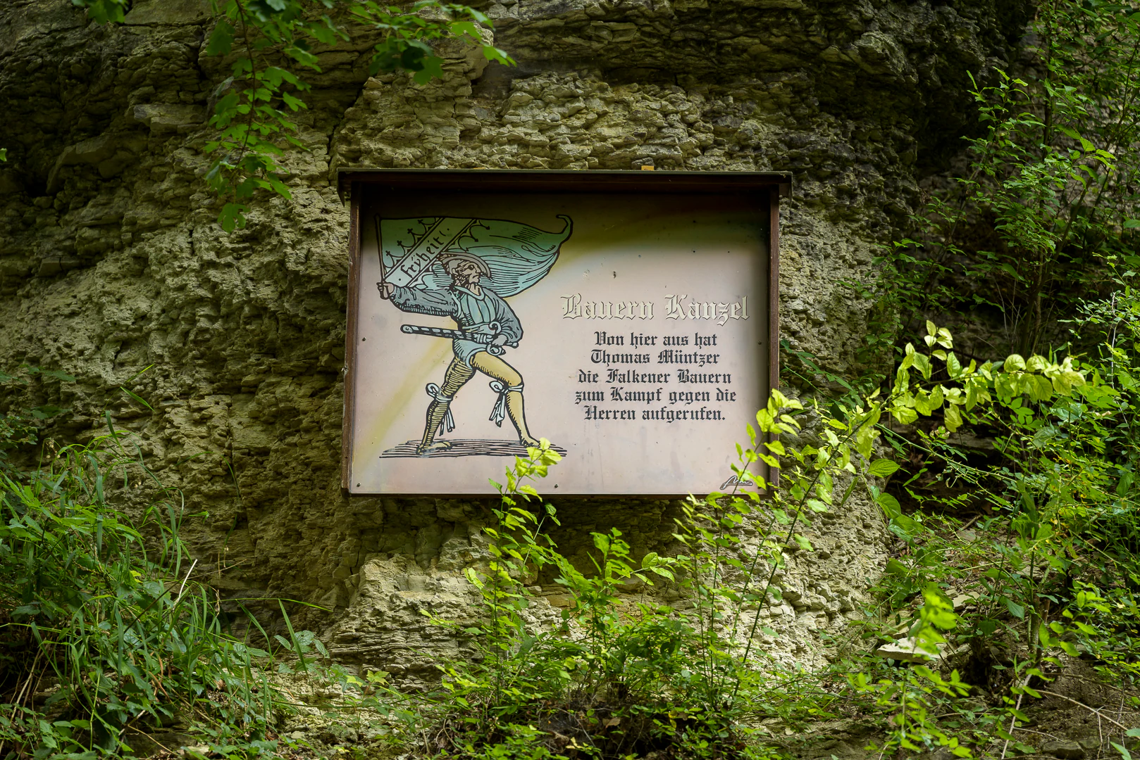 A rectangular informational sign with an illustration and German text mounted on a rocky cliff face surrounded by green foliage.