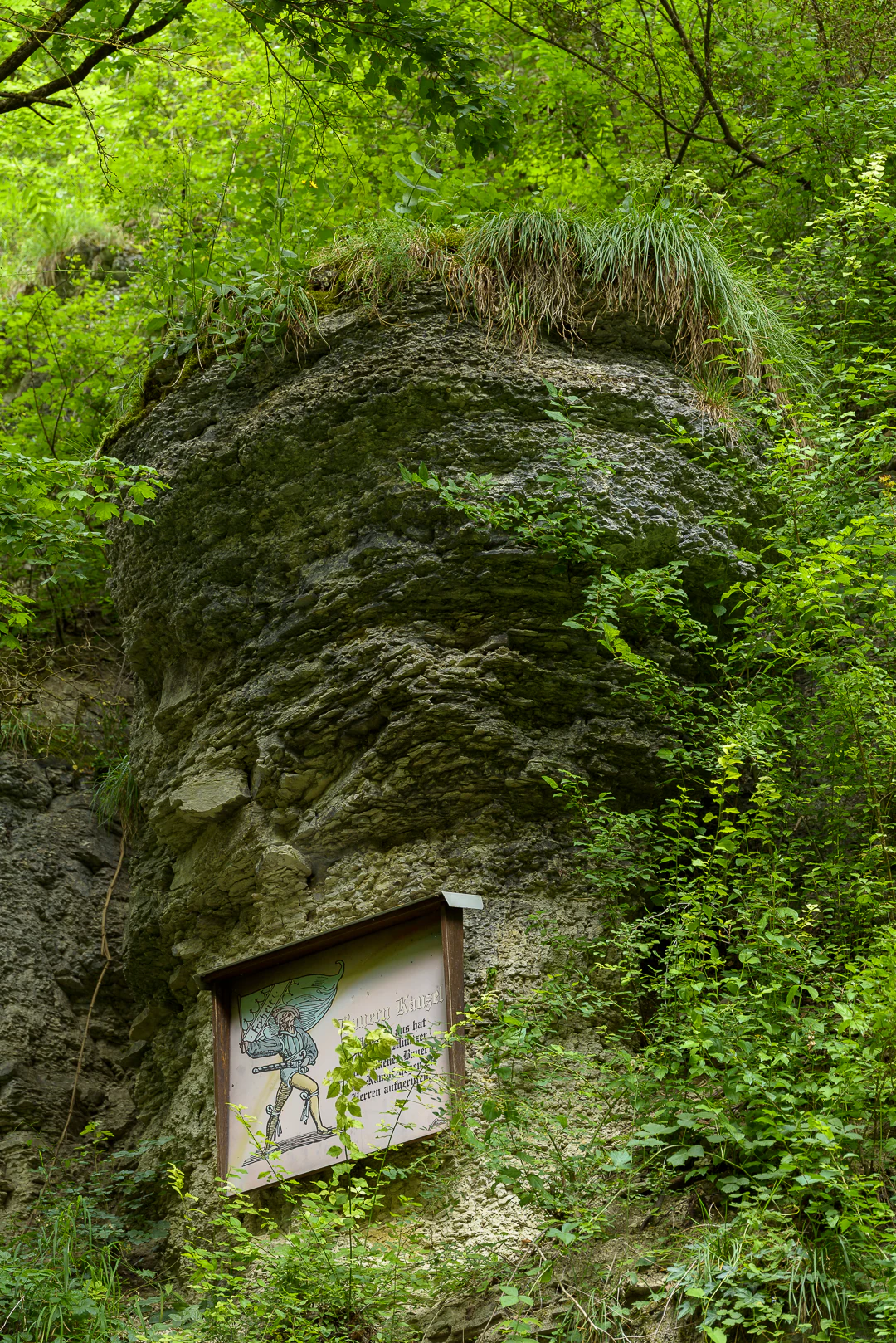 A large mossy rock formation in a forest with a wooden-framed information sign at its base showing an illustration and text, surrounded by green vegetation and trees