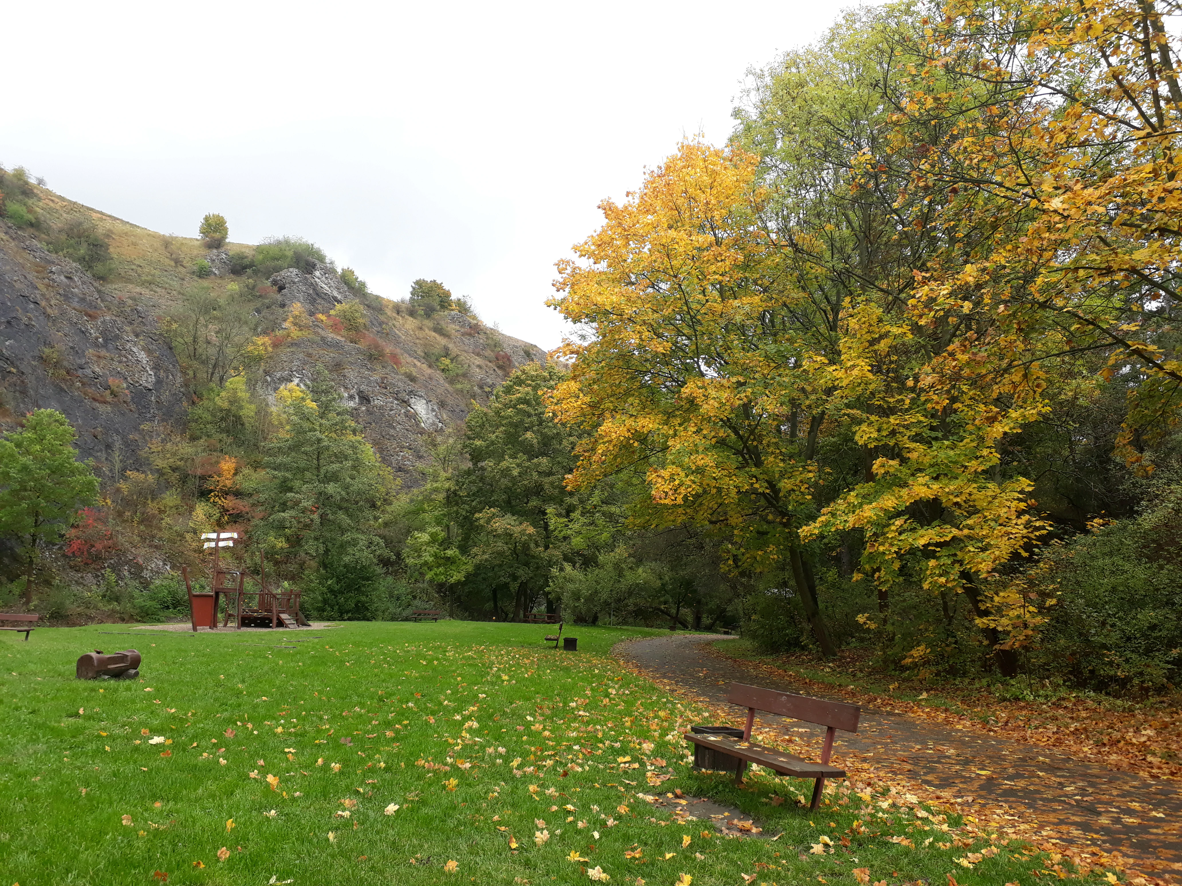 A park scene in autumn featuring a grassy area, a wooden bench, mature trees with yellow leaves, and a rocky cliff face in the background.