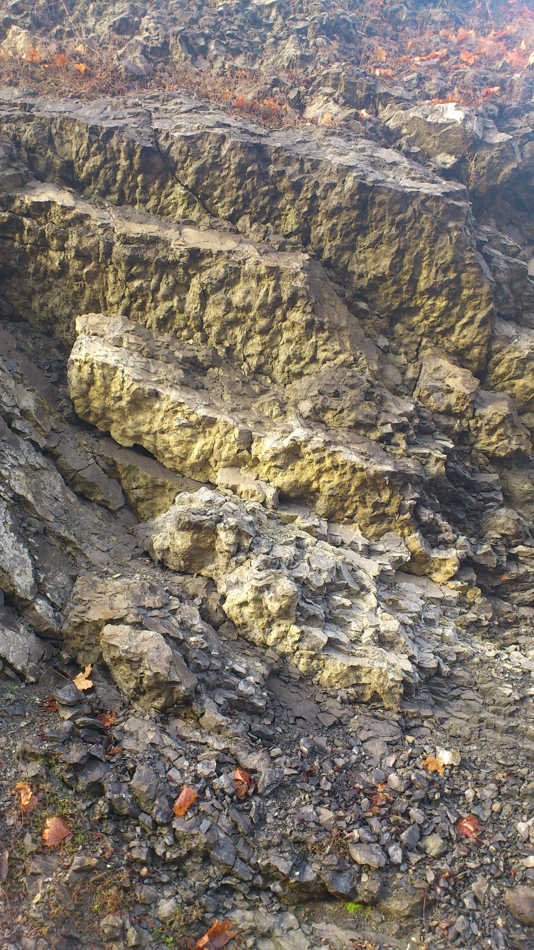 A close-up view of a rugged, textured limestone rock face showing layered geological strata and loose rocky debris at the base, with a few scattered fallen leaves.