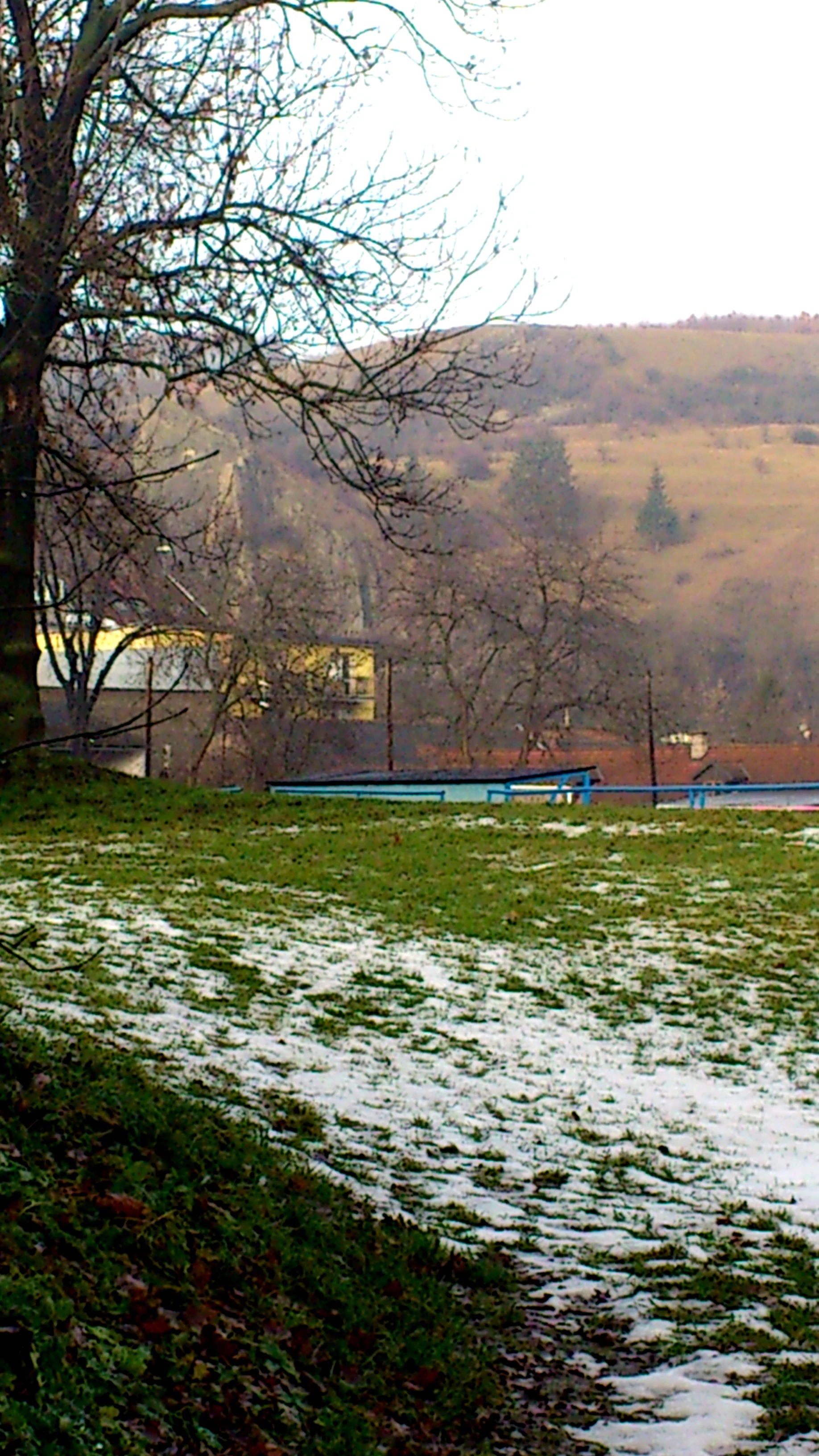 A partial view of a valley edge in winter, showing a snow-dusted grassy foreground with a large tree trunk on the left, looking toward distant hills and urban buildings.