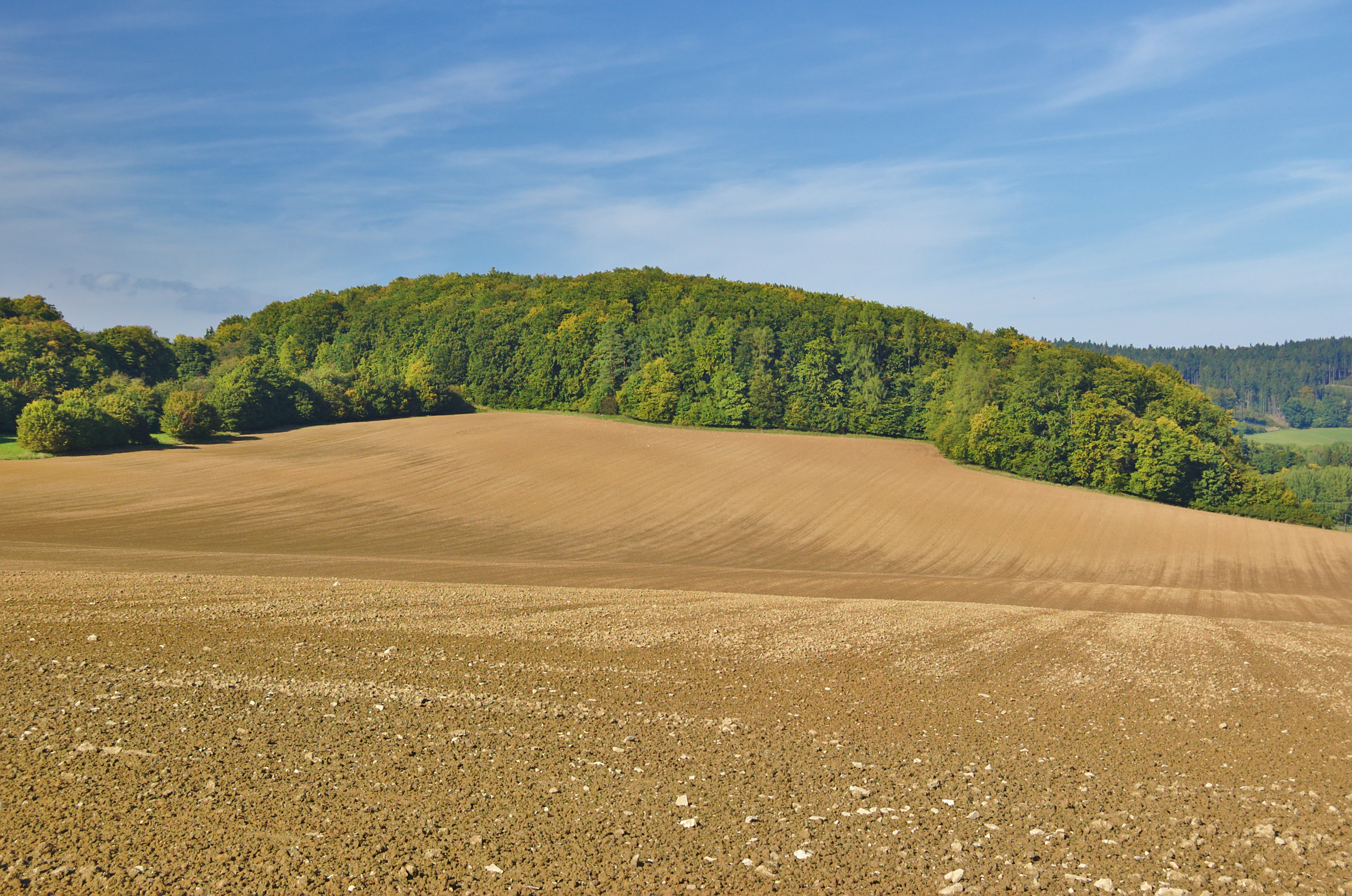 A wide view of a freshly tilled brown agricultural field in the foreground, leading up to a dense green forest covering a low hill under a clear blue sky.