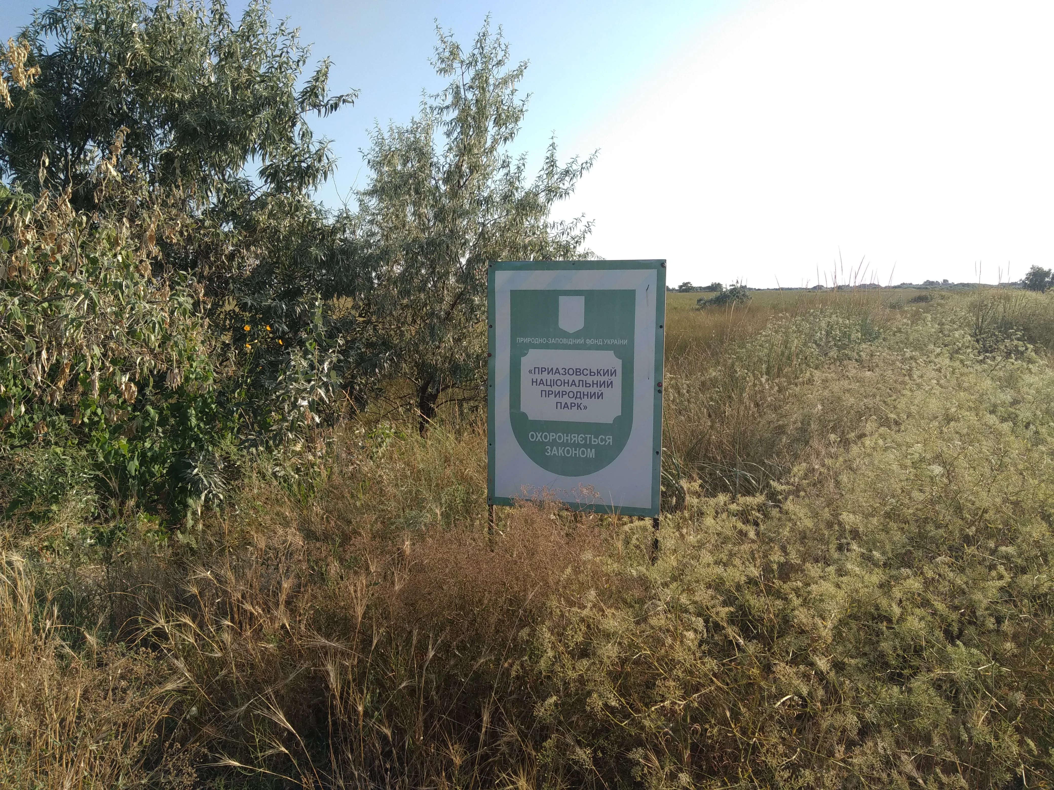Green park entrance sign with text surrounded by tall grass and trees under a clear sky