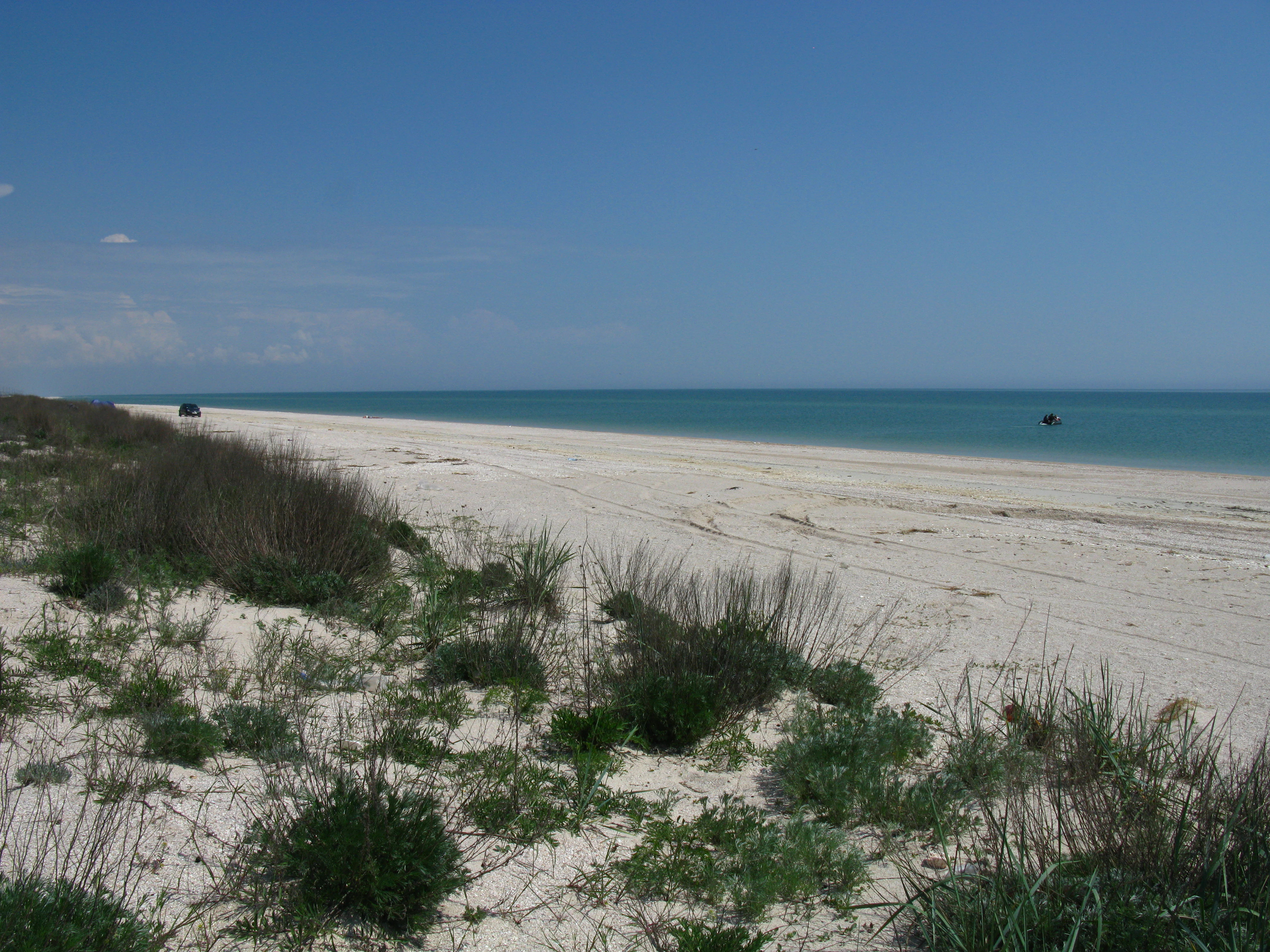 Sandy beach with sparse coastal vegetation under clear blue sky with sea in background