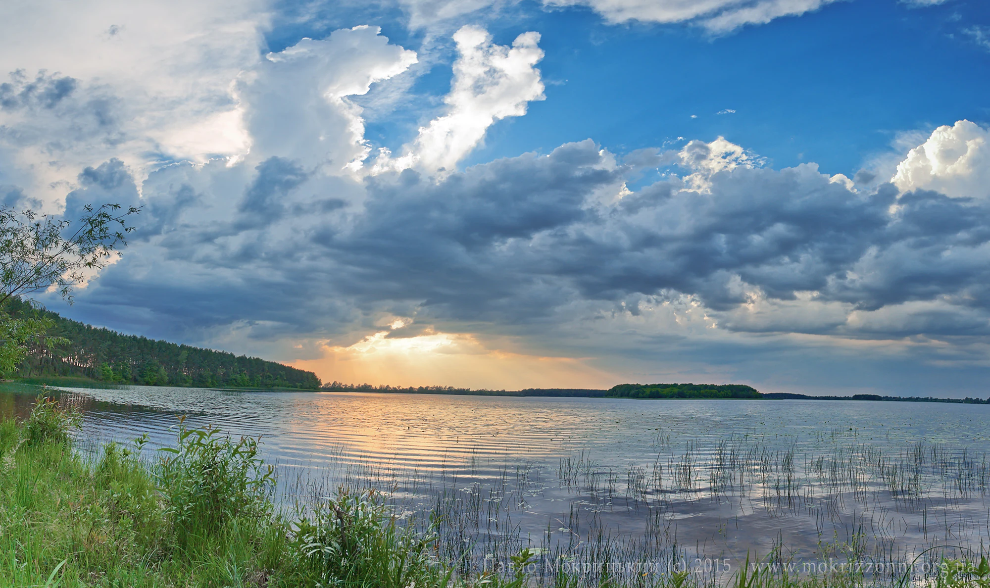 Calm lake reflecting a partly cloudy sky with the sun setting on the horizon, surrounded by lush green vegetation and reeds