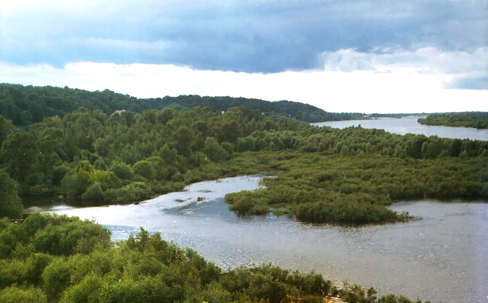 Wide river with multiple channels flowing through dense green forests under partly cloudy sky