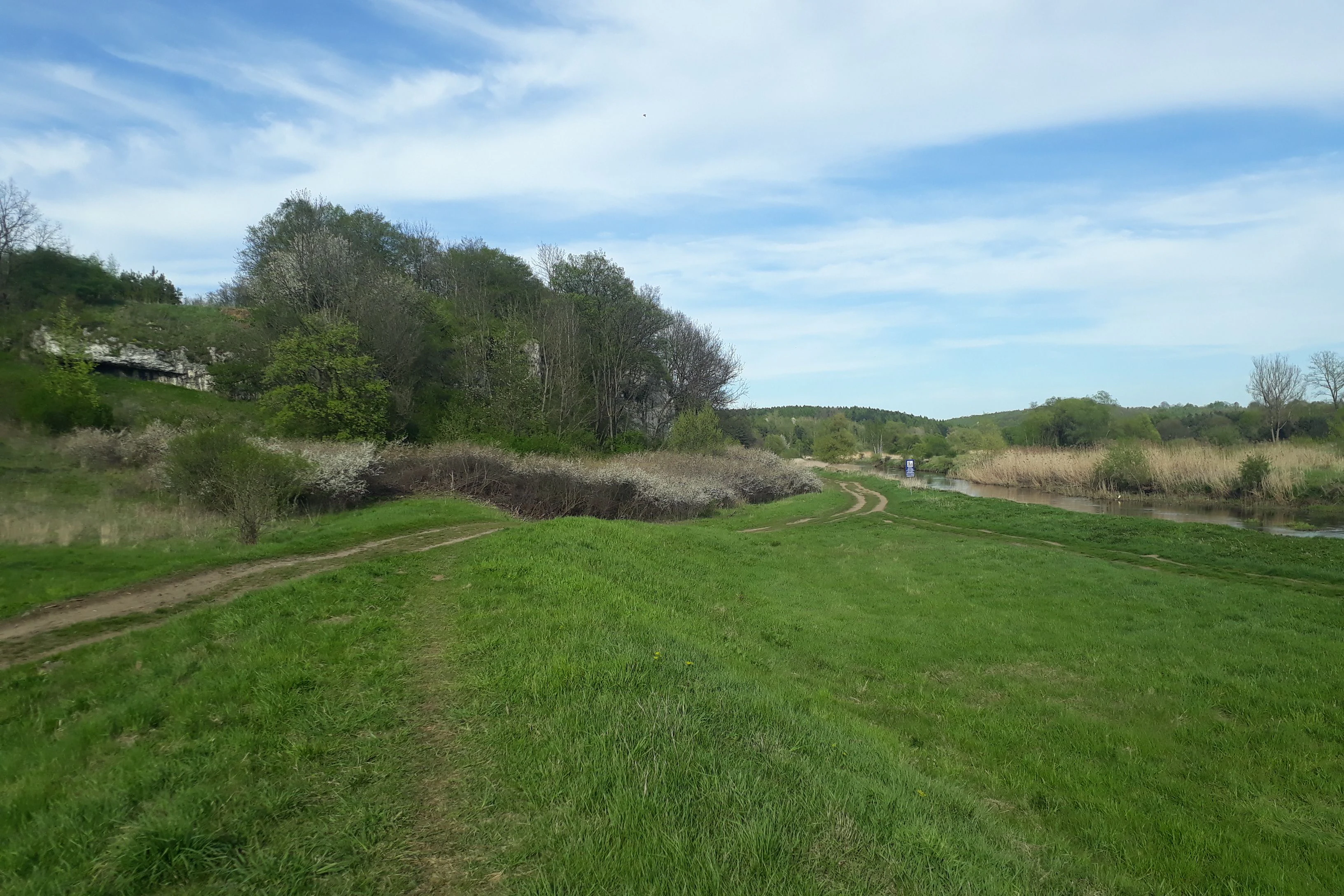 Una toma amplia al aire libre de un campo de hierba verde con un sendero de tierra que serpentea a través de él hacia una hilera de árboles; se ve una ribera a la derecha bajo un cielo azul parcialmente nublado.