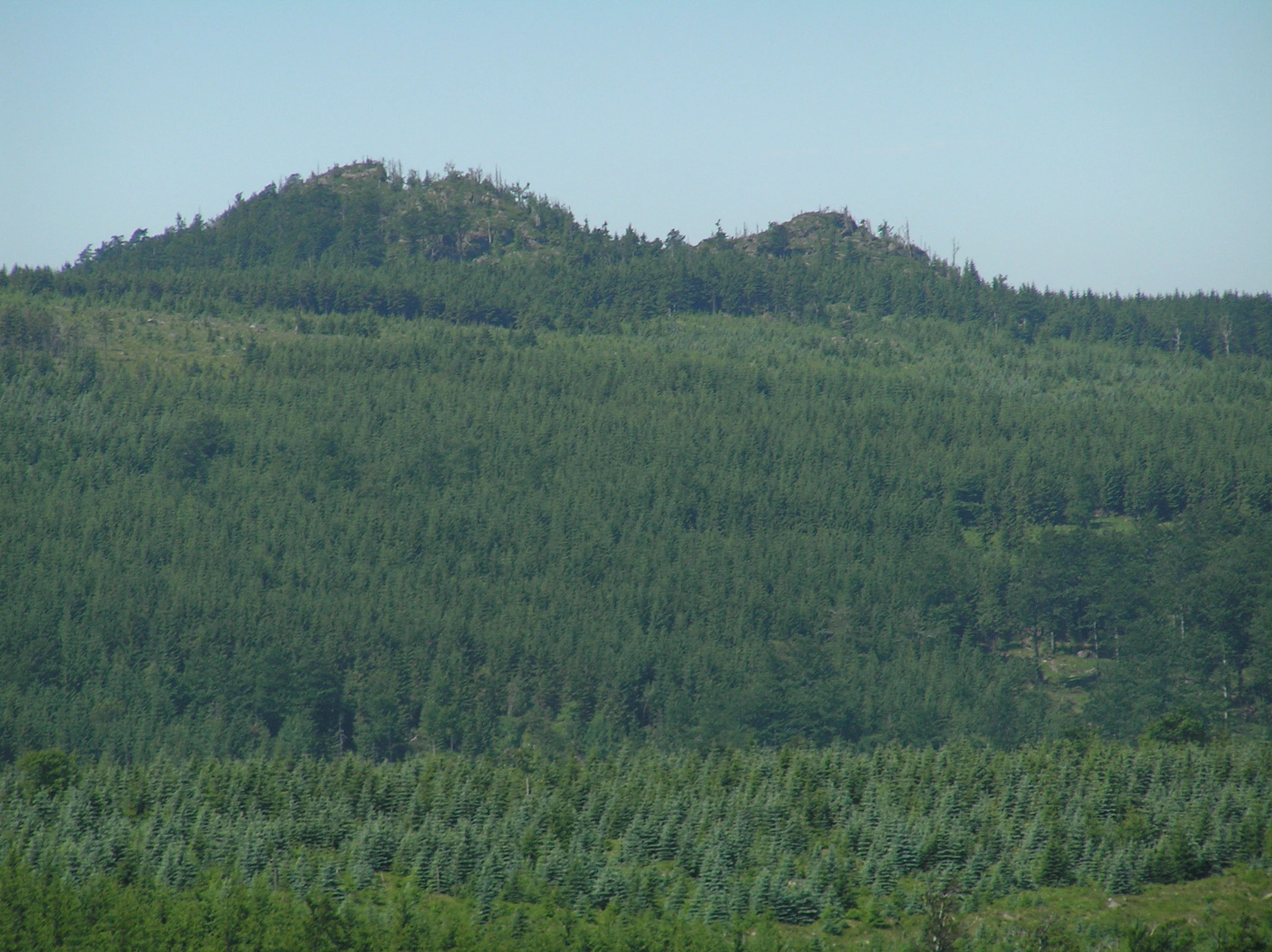 A distant view of rocky, forested mountain peaks under a clear sky, surrounded by vast green woodlands.