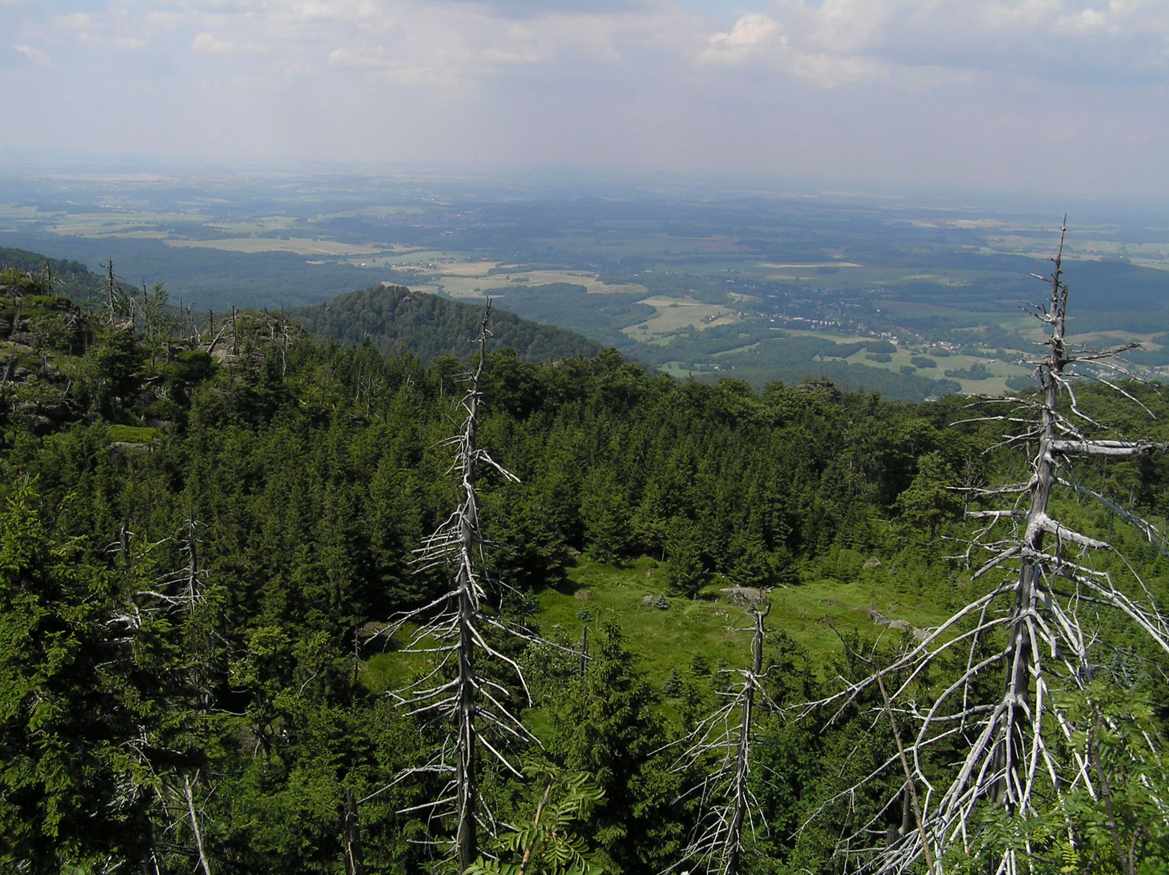 A high-angle view from a rocky mountain summit looking over a dense forest canopy and distant lowland plains.