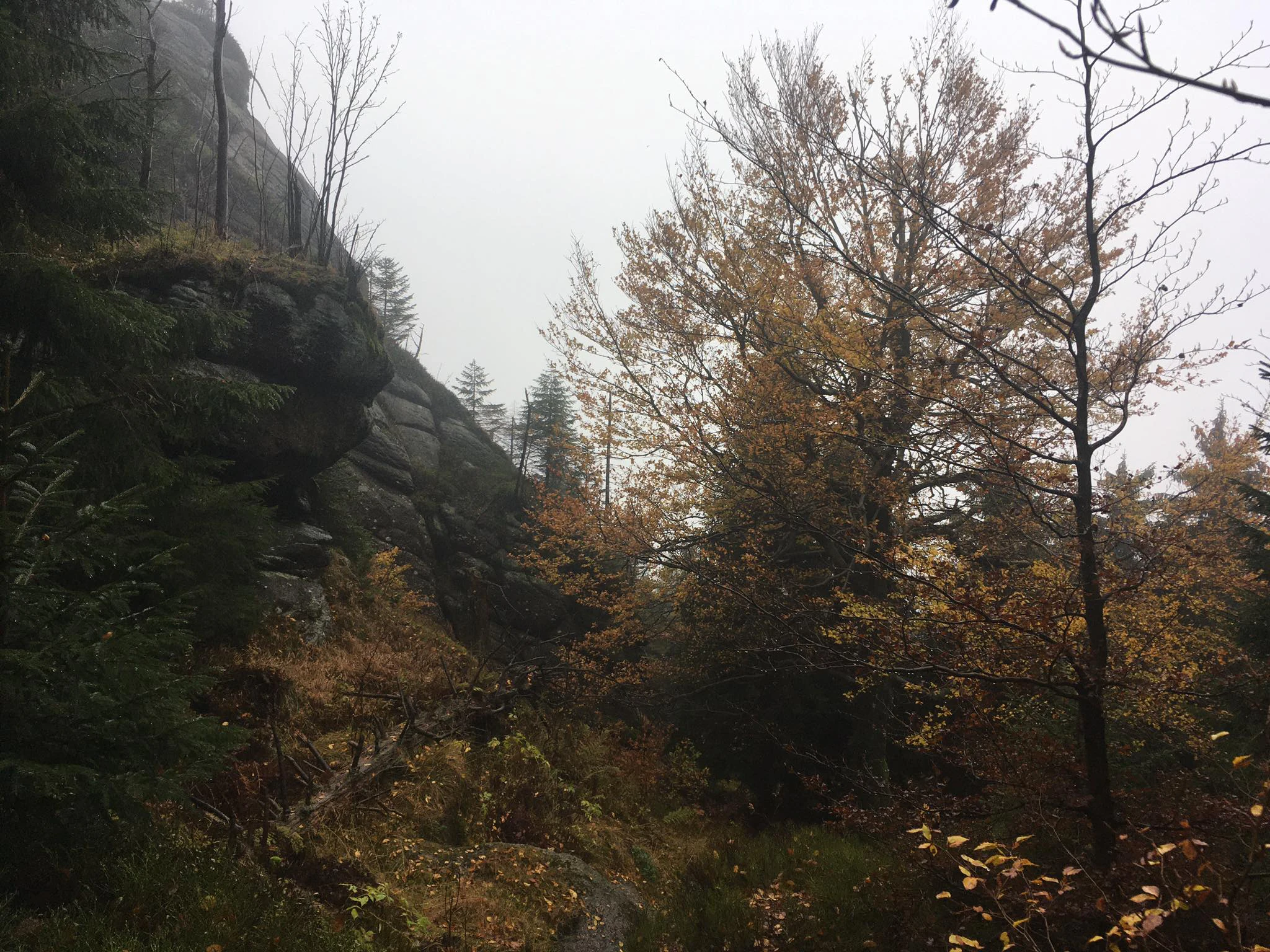 A view of an autumnal mountain forest with granite rock formations emerging from a misty landscape.