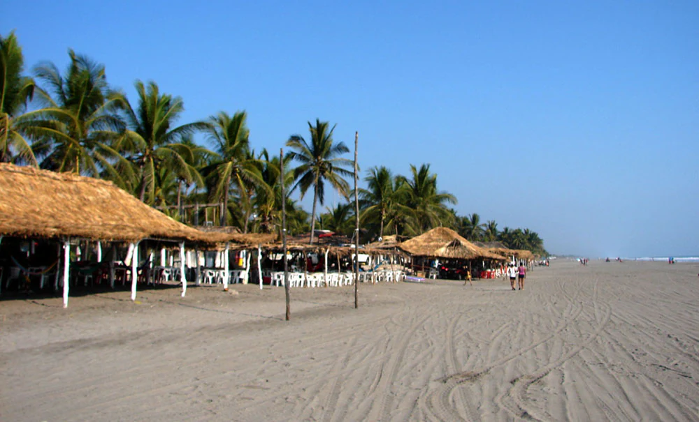 A wide beach with light sand and numerous thatched roof structures under palm trees, with the ocean visible in the distance under a clear blue sky.