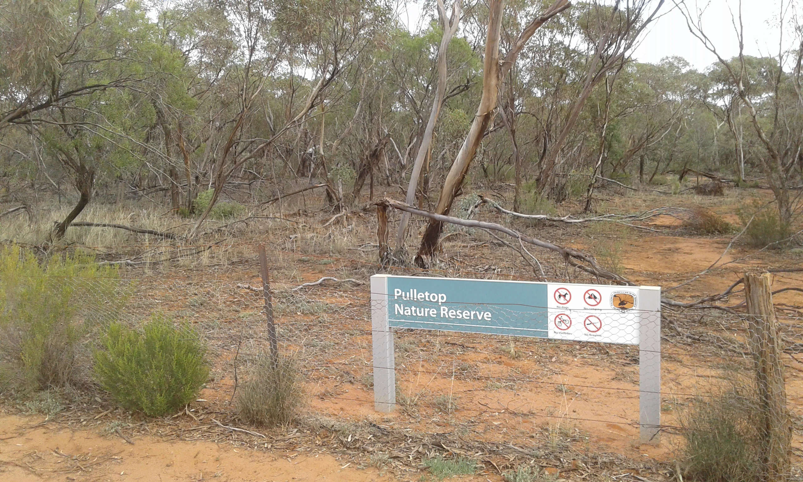A green and white rectangular sign reading Pulletop Nature Reserve stands in front of a dry, sparse forest of mallee trees and reddish soil.