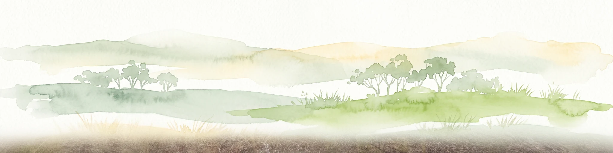 Una ilustración horizontal en acuarela que representa colinas onduladas y brumosas cubiertas de árboles y arbustos verdes dispersos, típicos de un terreno boscoso árido.