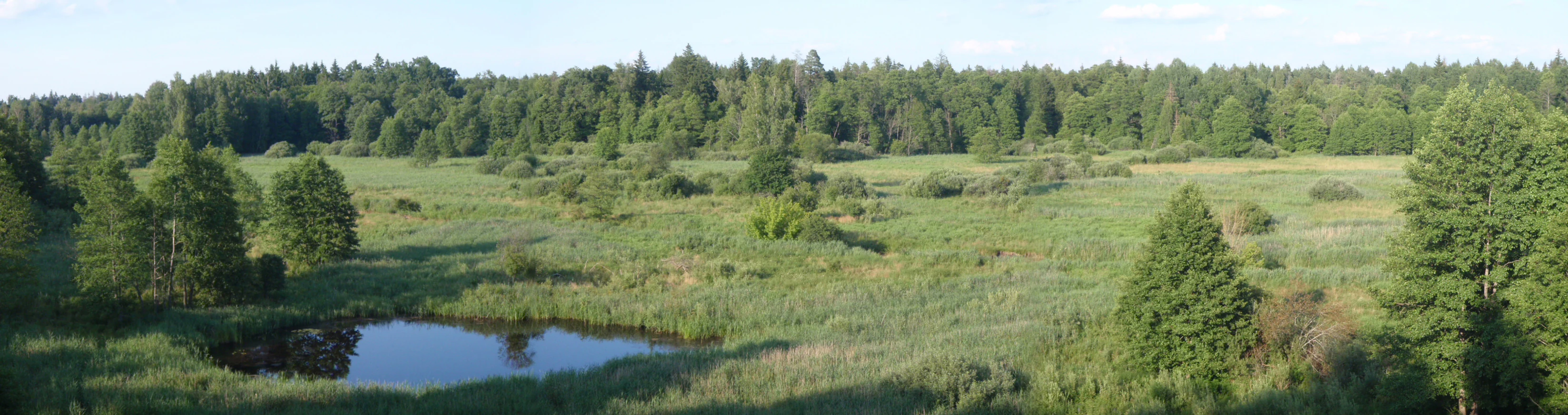 A wide, elevated view of a lush green river valley with a small pond in the foreground, surrounded by dense forest in the background.