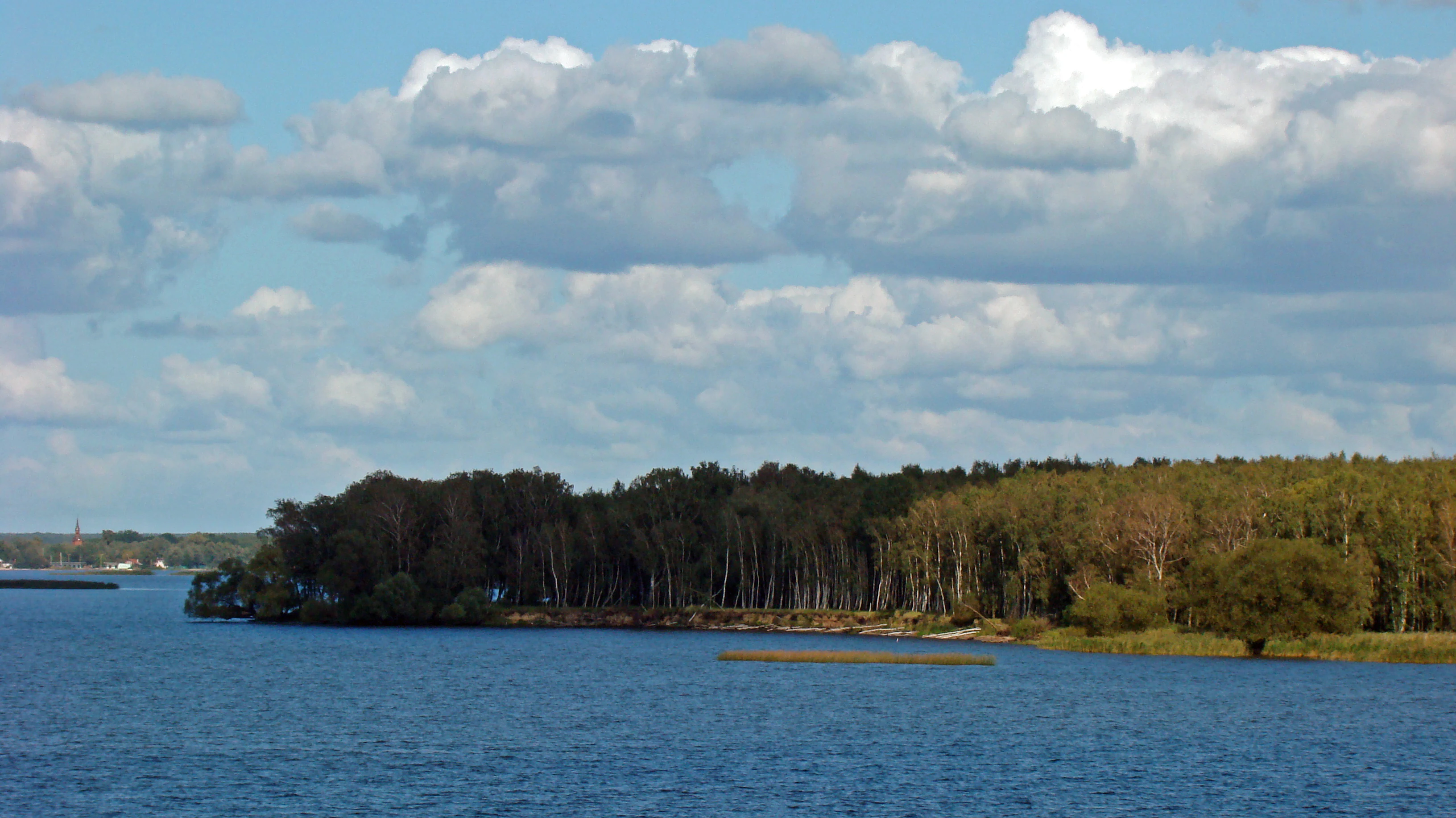 A wide view of a forested shoreline meeting a calm blue lake under a sky filled with fluffy white clouds.