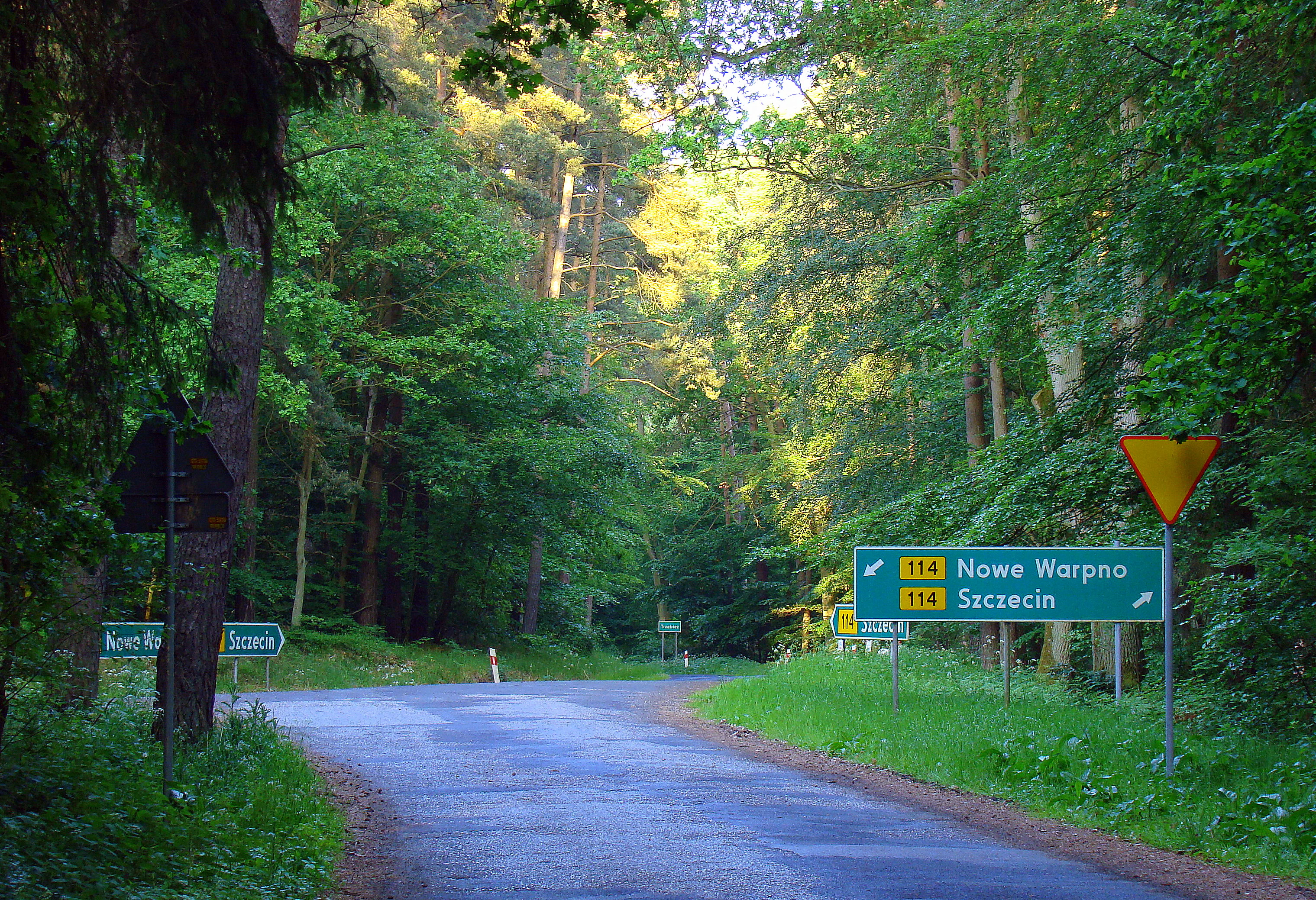 Una carretera forestal pavimentada rodeada de densos árboles caducifolios y coníferas con múltiples señales de tráfico verdes que indican direcciones hacia Nowe Warpno y Szczecin.