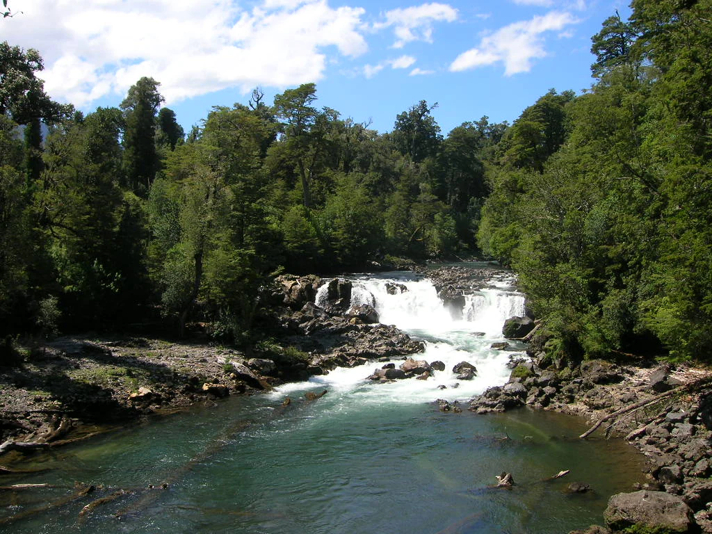 Waterfall flowing over rocks with forested background in Puyehue National Park