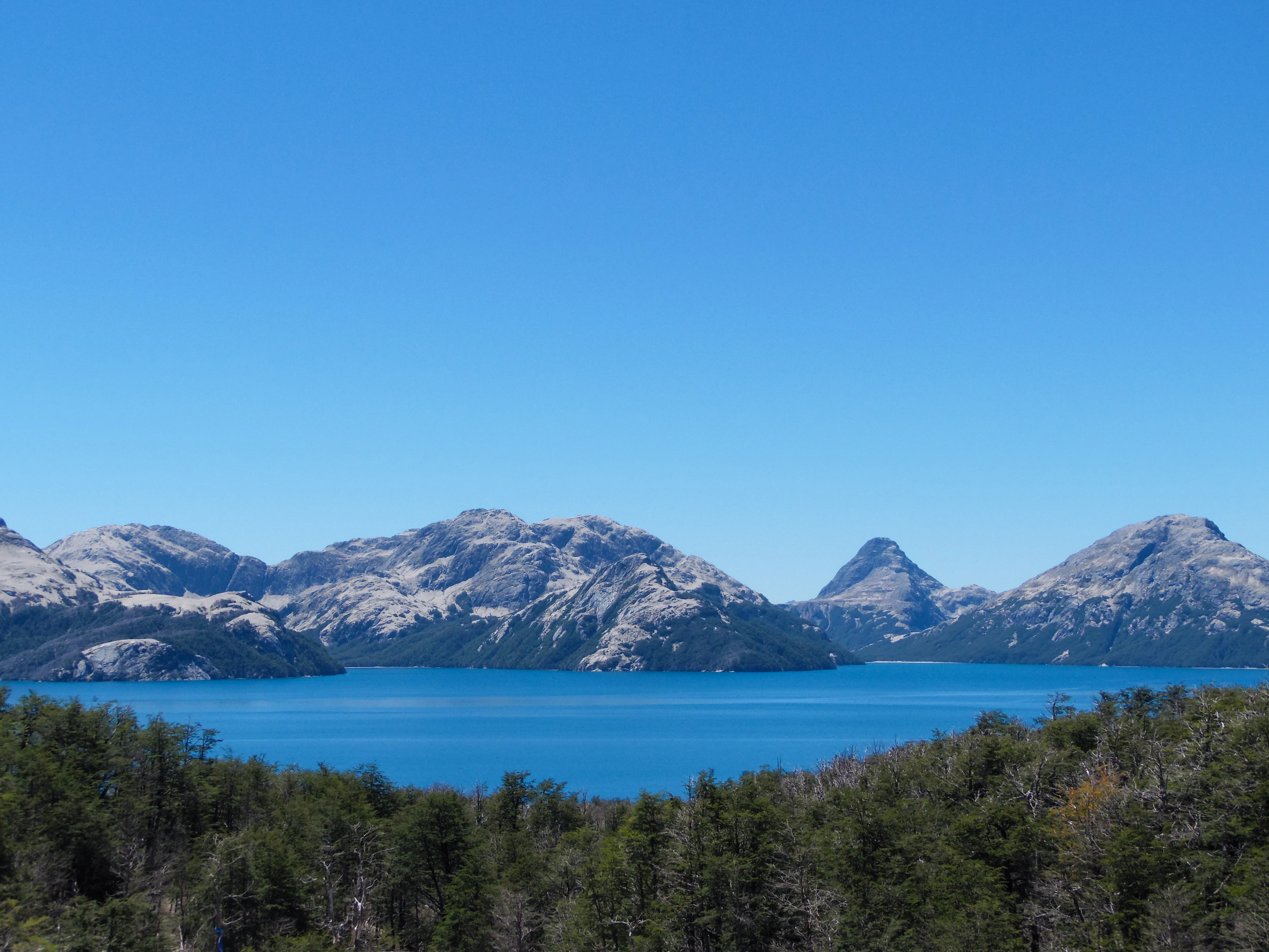 A wide view of a blue lake surrounded by dense forest and rocky mountain peaks under a clear blue sky