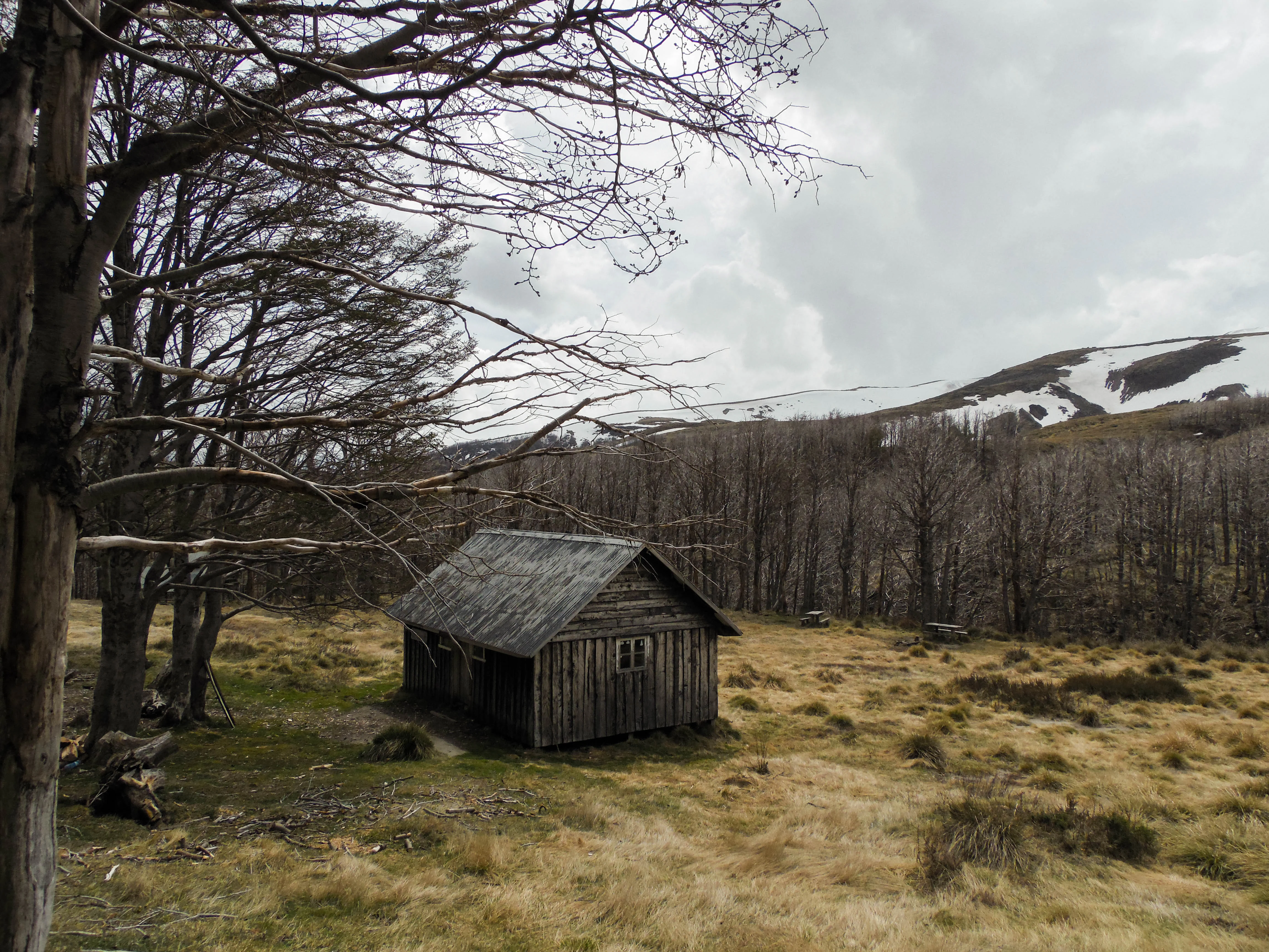Small wooden cabin in a grassy field with bare trees on left, mountains with snow in background, overcast sky.