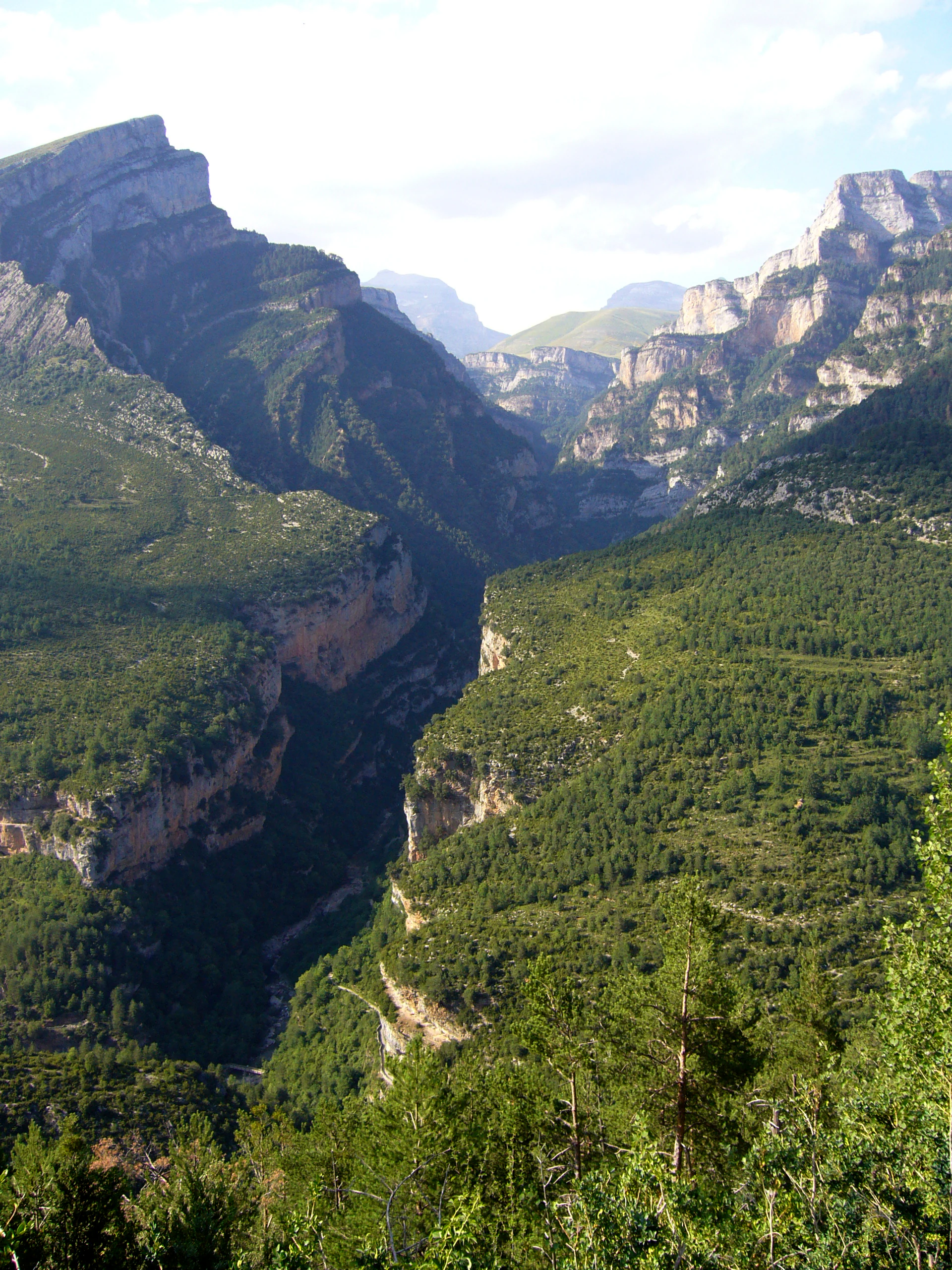 A deep, V-shaped limestone canyon with steep, forested slopes and sheer rock walls under a bright sky.