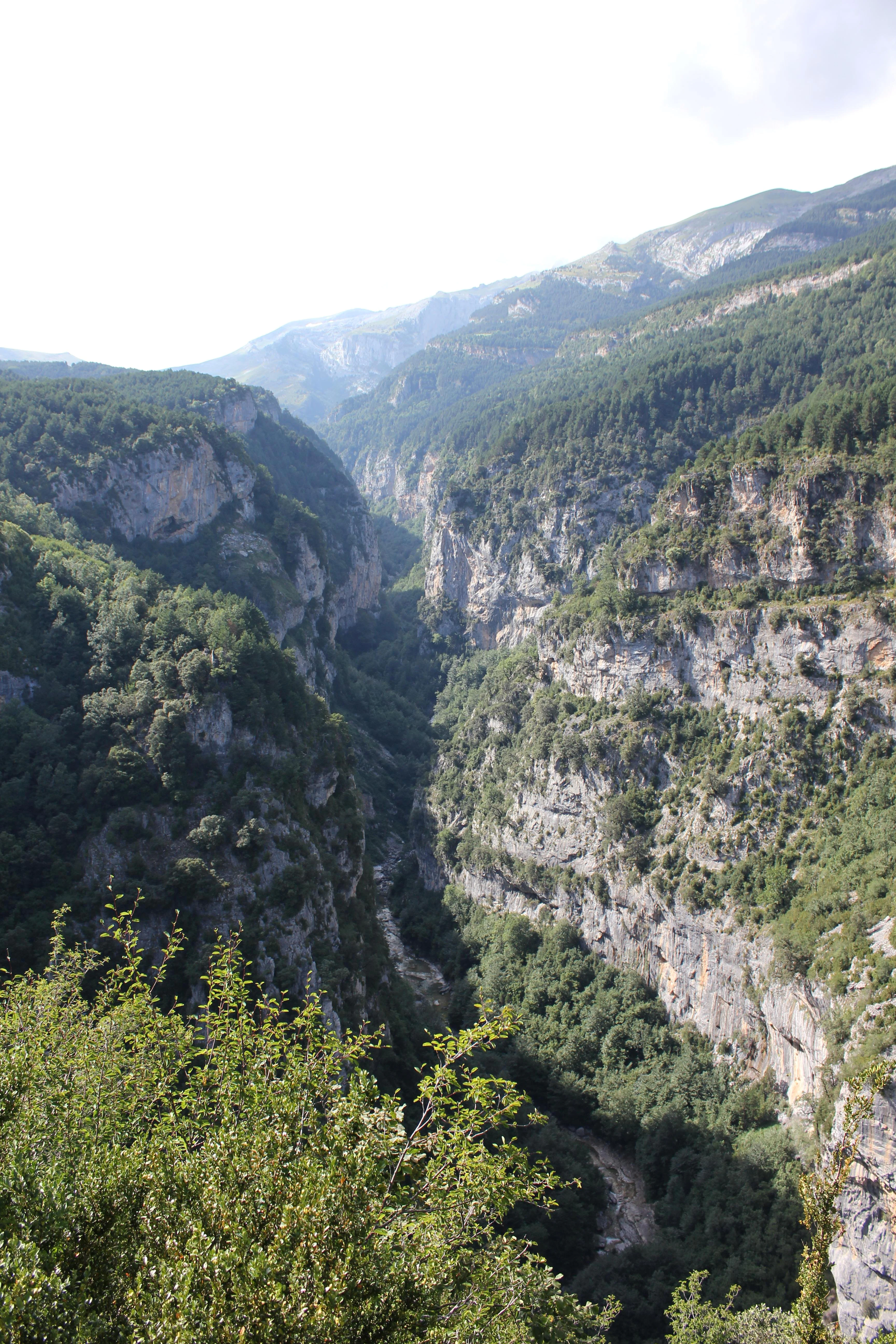 A deep canyon carved into limestone rock, with steep, wooded cliffs falling away to a narrow river bed below, under a bright sky.