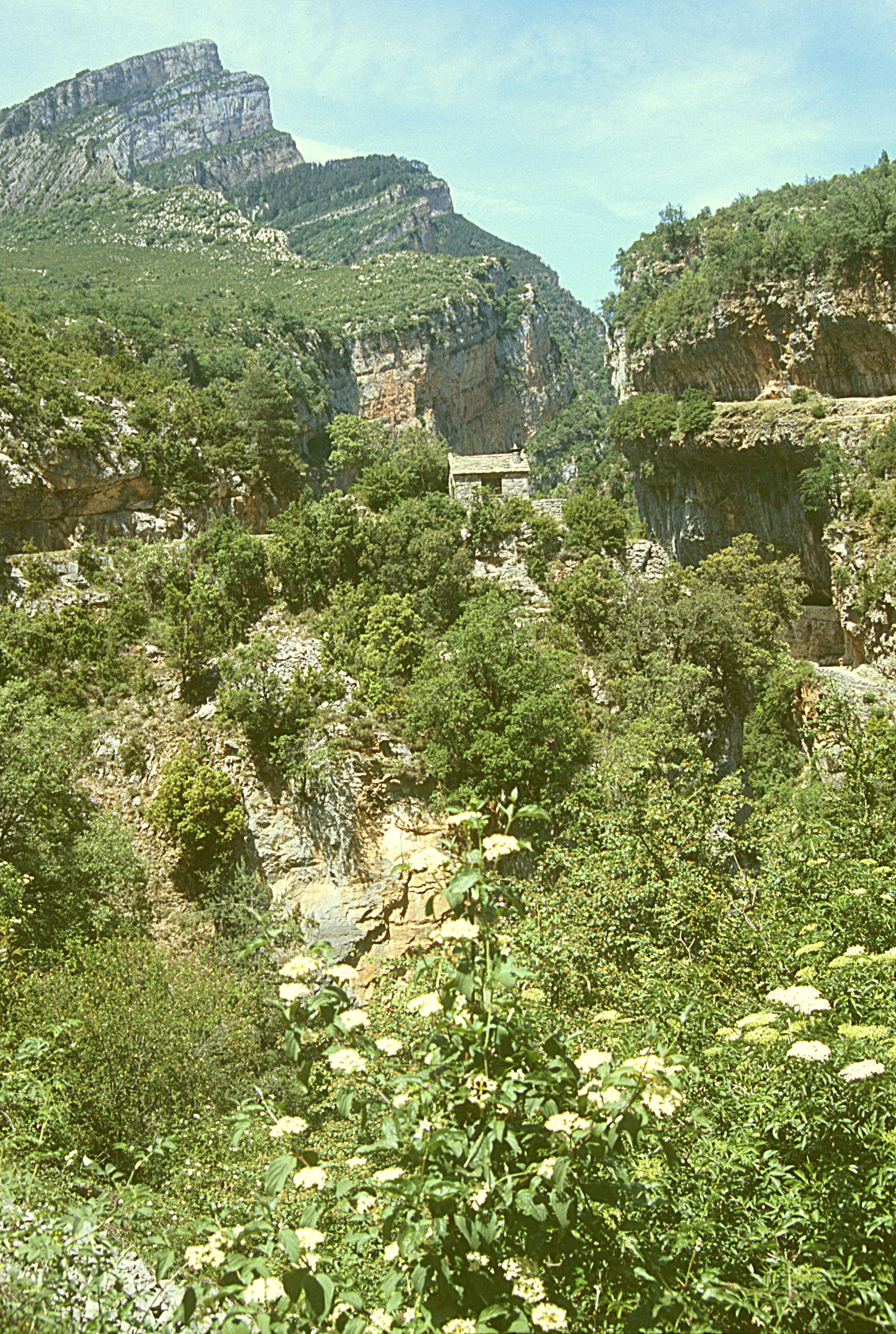 A vertical view of the deep Anisclo Canyon in the Pyrenees with steep rocky cliff faces, dense green forest, and a solitary stone building in the distance.