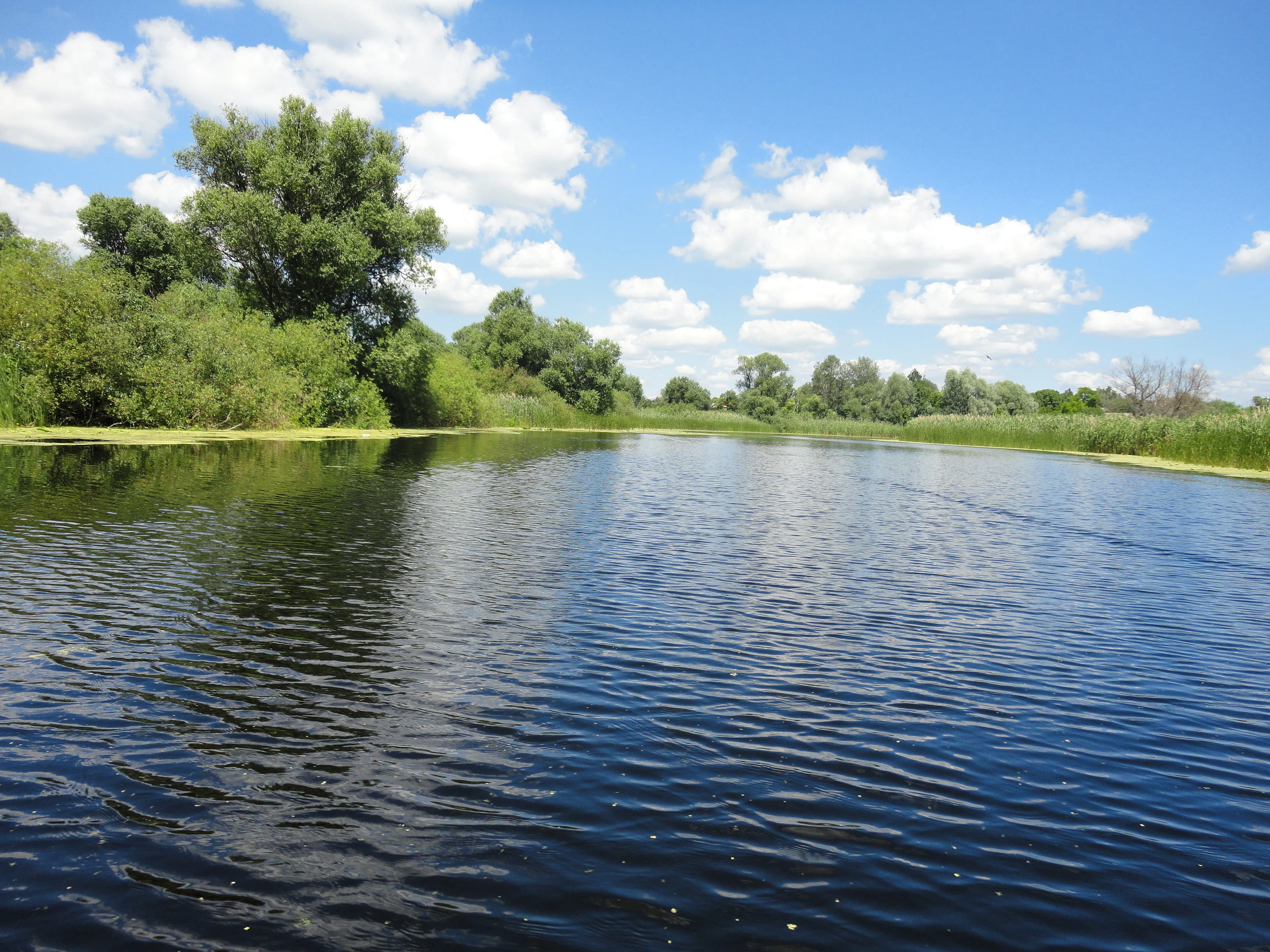 Wide river with calm water reflecting sky and trees on both banks under clear blue sky with scattered clouds