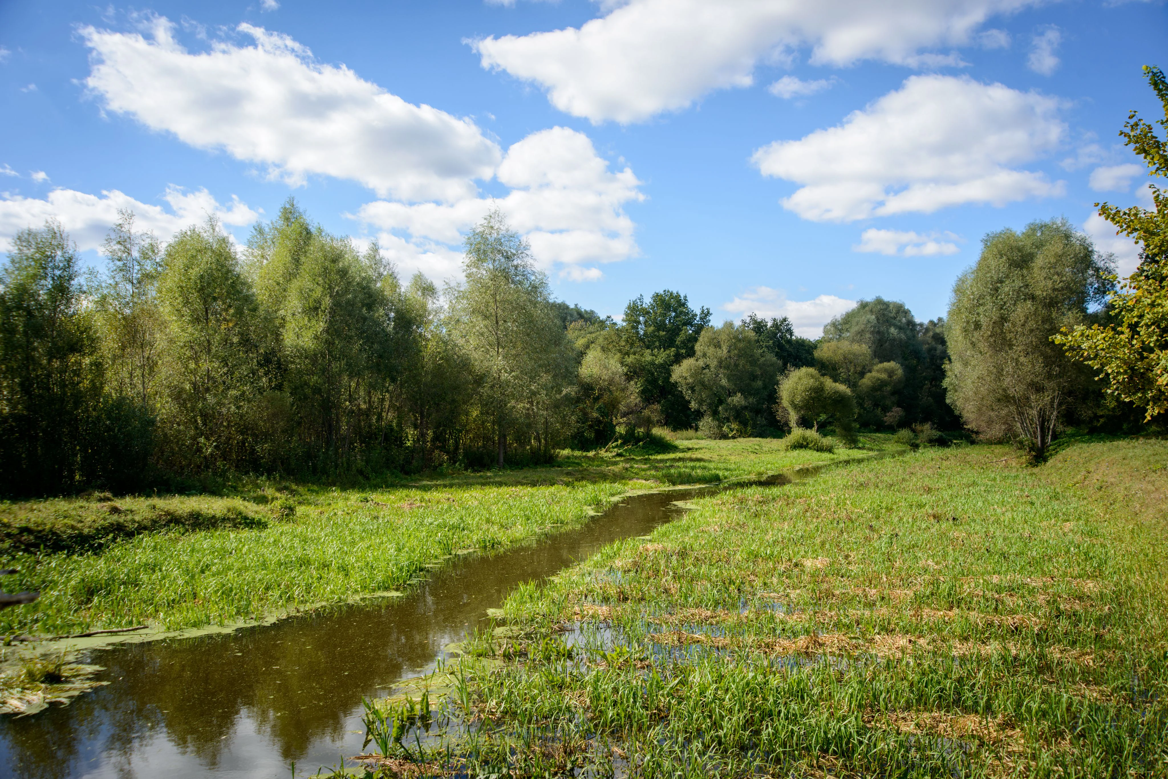 A river flows through a grassy meadow surrounded by trees under a partly cloudy sky