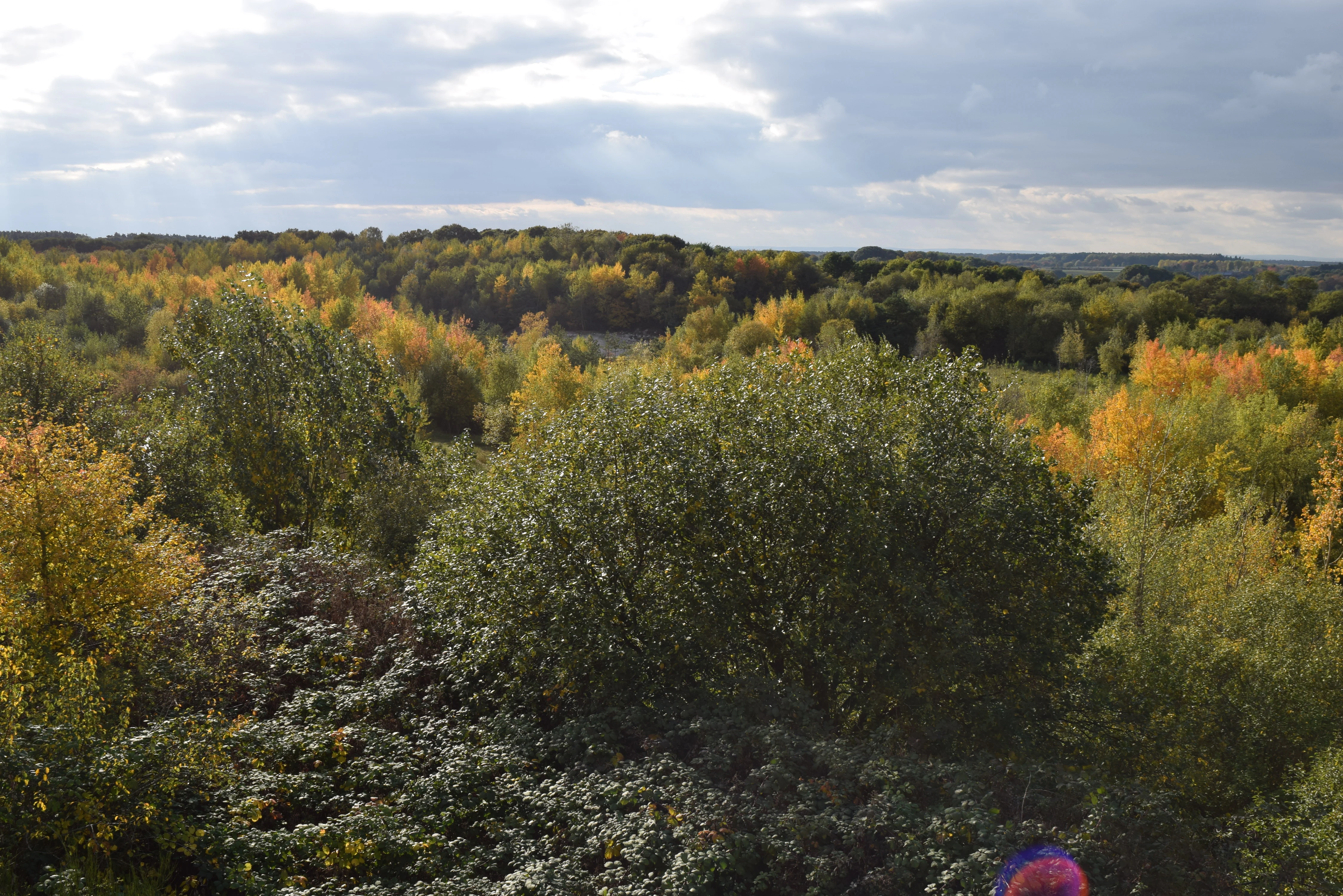 A wide, elevated view of a forest area during autumn with green and yellow trees under a cloudy sky.