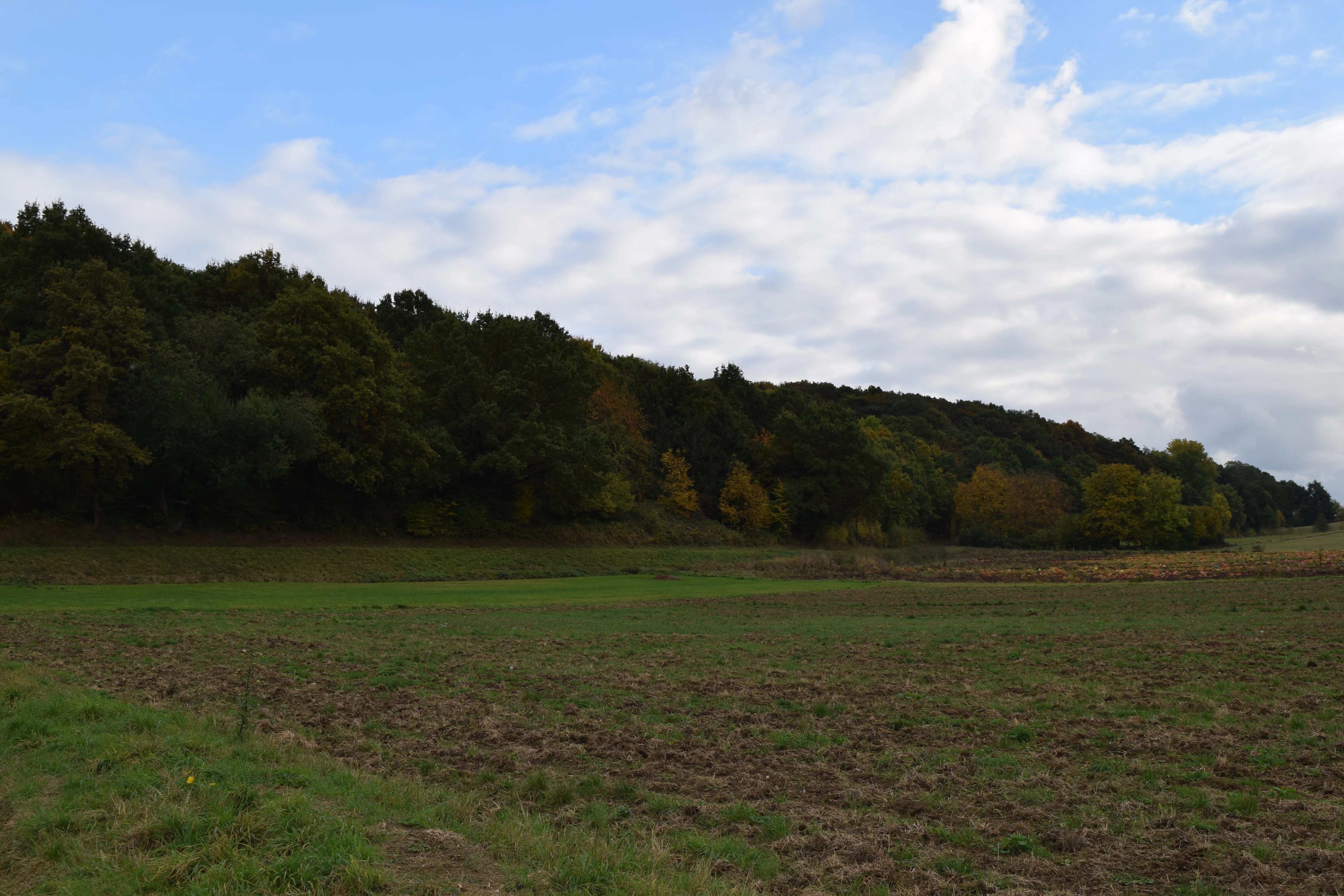 A wide, eye-level shot of a rural landscape with a large, forested hillside rising above open fields under a partly cloudy sky.