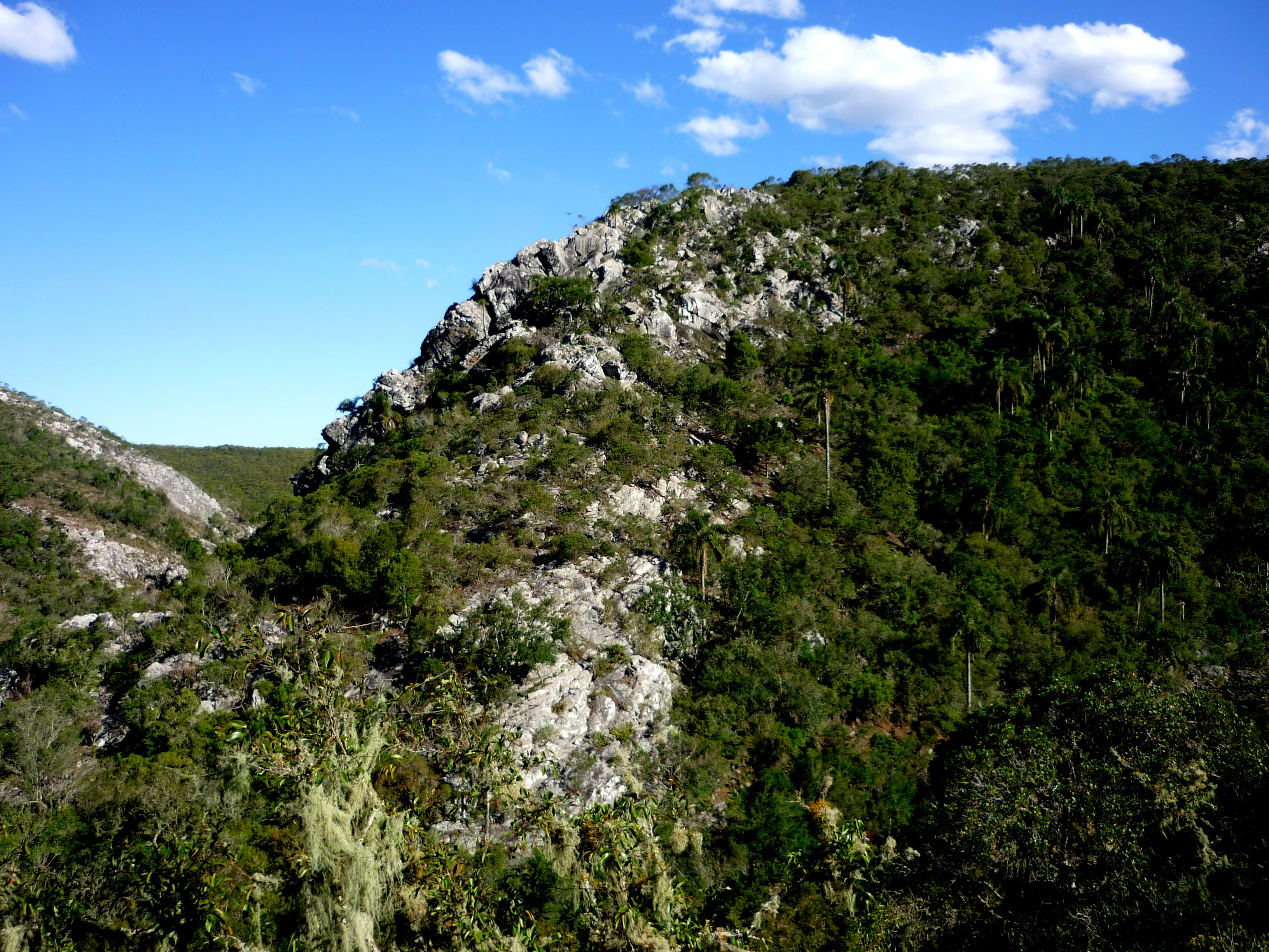 A steep, rocky, tree-covered hillside under a clear blue sky, showing the varied textures of the Quebrada de los Cuervos gorge.