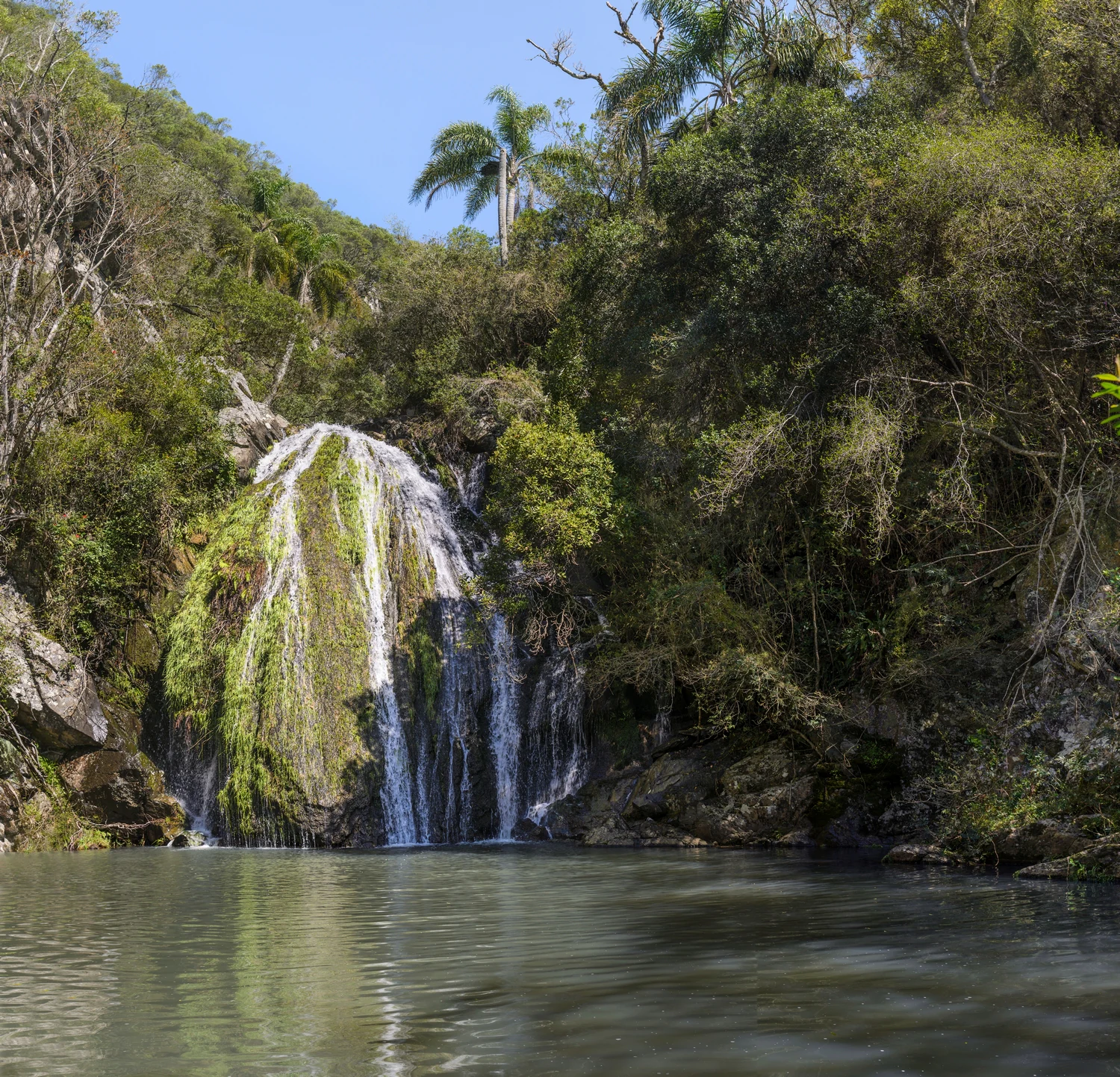 A waterfall cascading over a mossy rock face into a calm, dark pool, surrounded by dense green forest and palm trees under a clear blue sky.