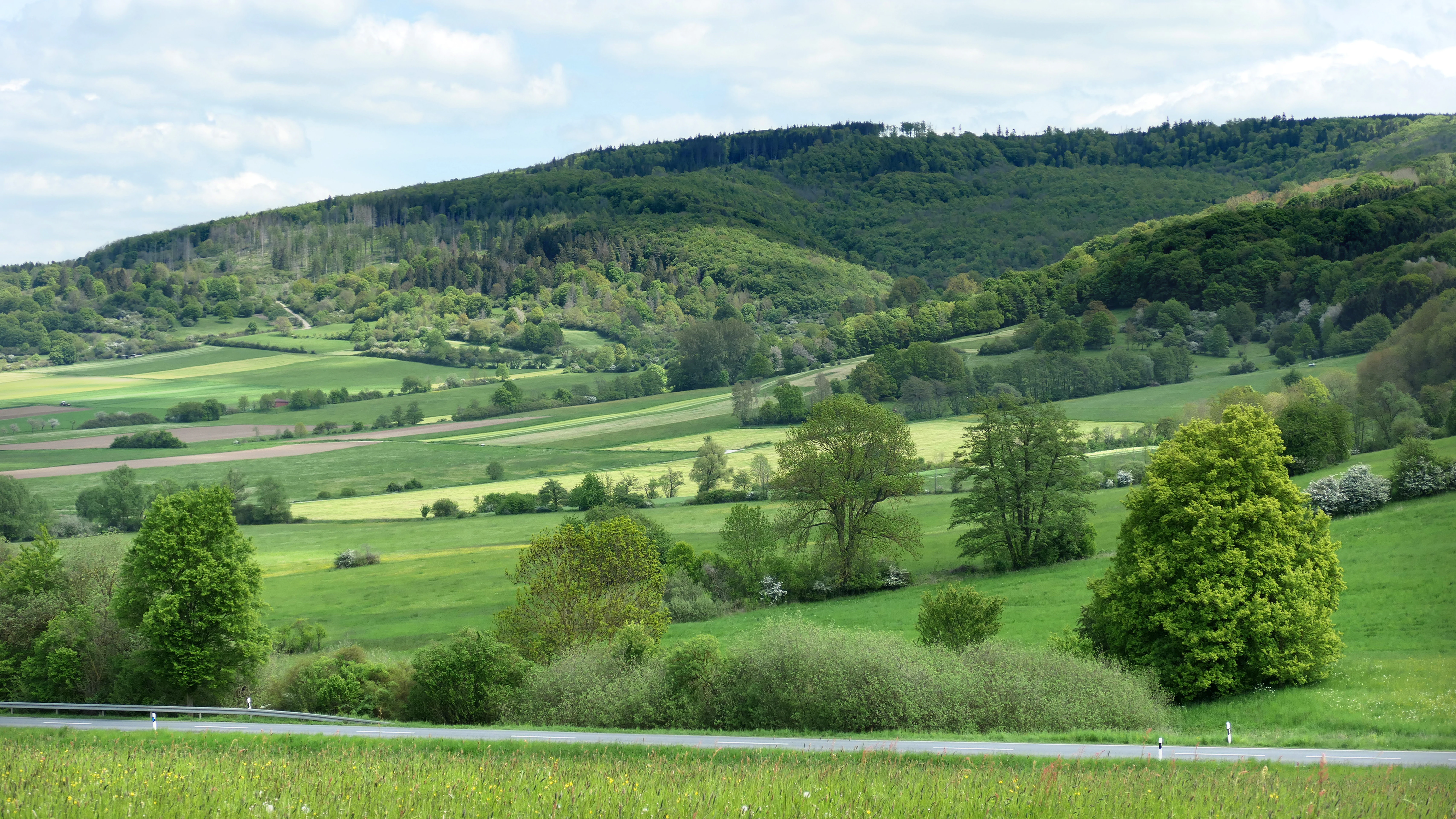 A wide, rolling landscape view featuring green meadows, agricultural fields, scattered trees, and a forested mountain slope in the distance.
