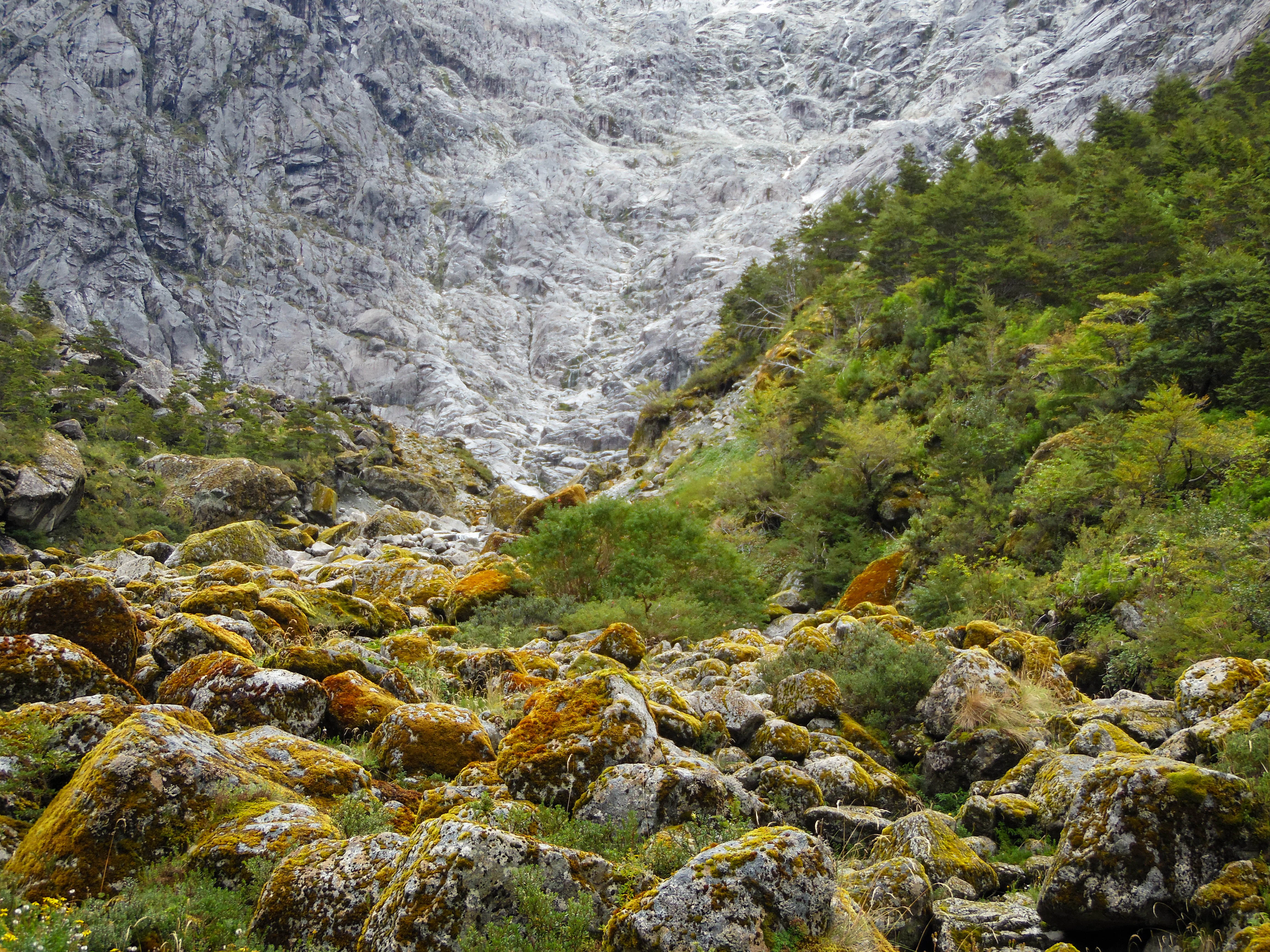 A valley with moss-covered rocks and forested hillsides leading to a mountain face with a glacier